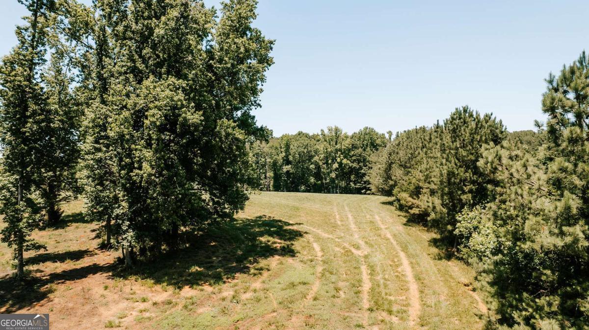 0 Mitchell Farm Road Colbert GA 30628
