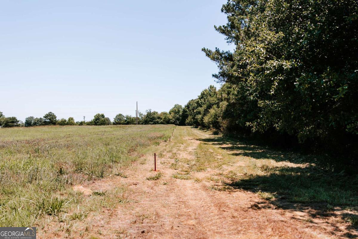 0 Mitchell Farm Road Colbert GA 30628