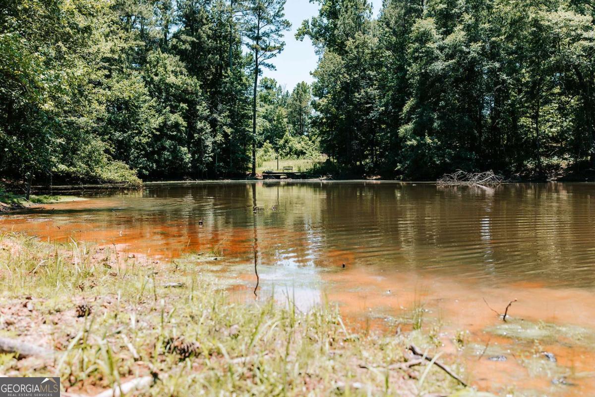 0 Mitchell Farm Road Colbert GA 30628