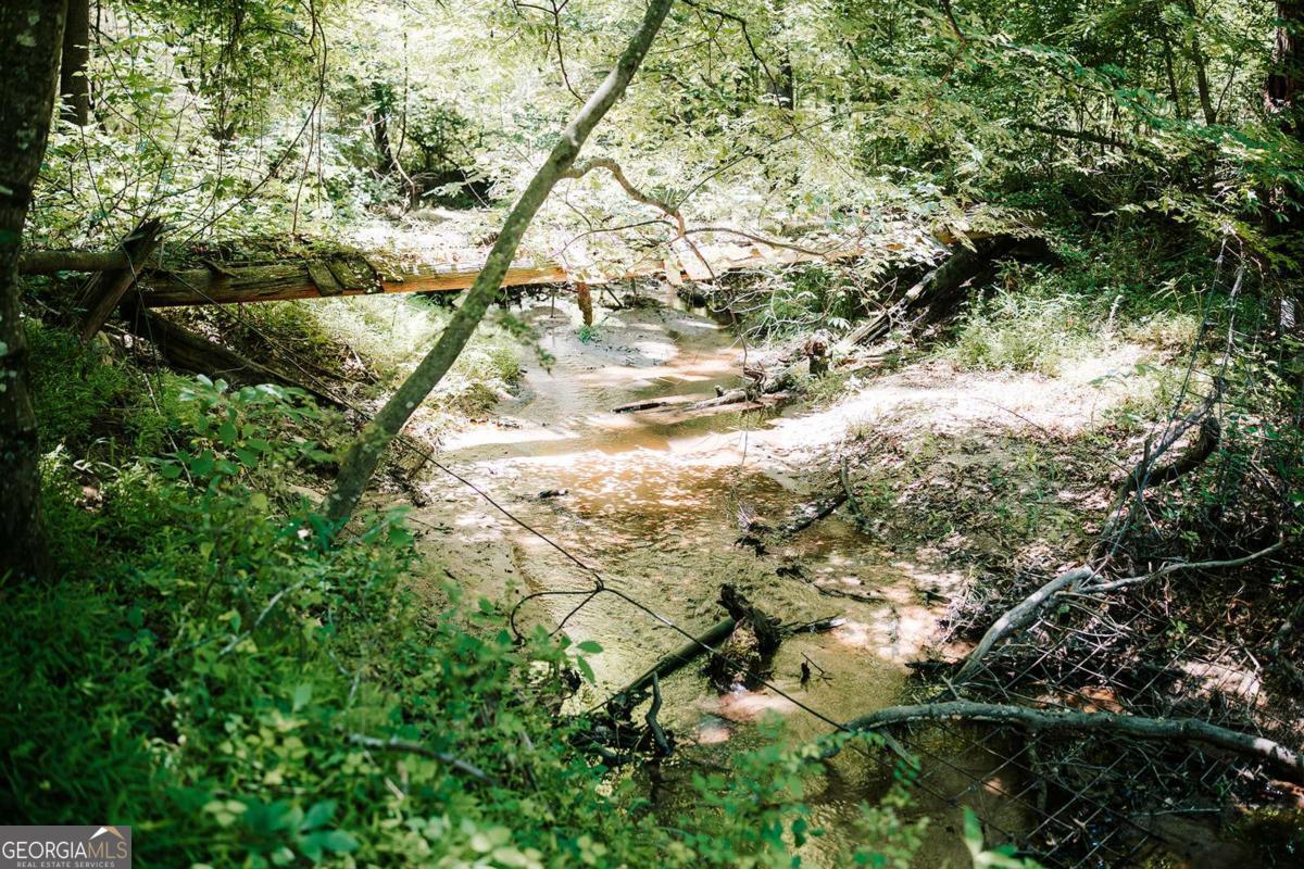 0 Mitchell Farm Road Colbert GA 30628