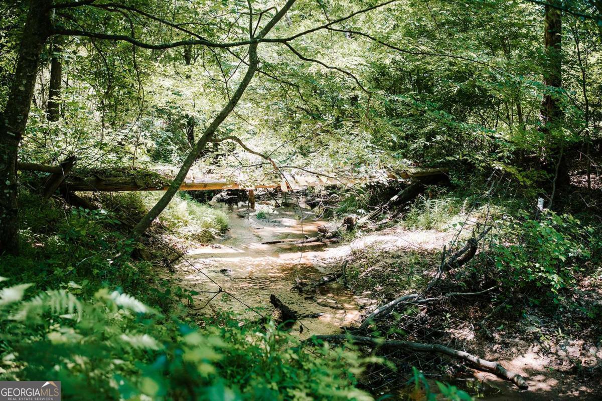 0 Mitchell Farm Road Colbert GA 30628