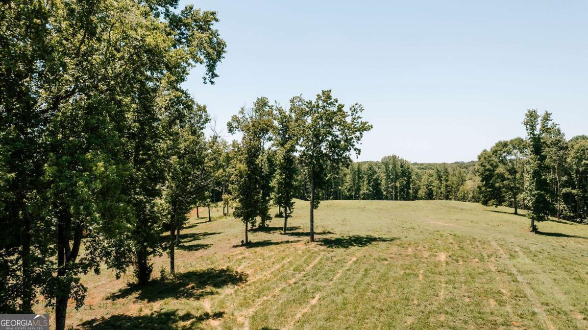 0 Mitchell Farm Road Colbert GA 30628