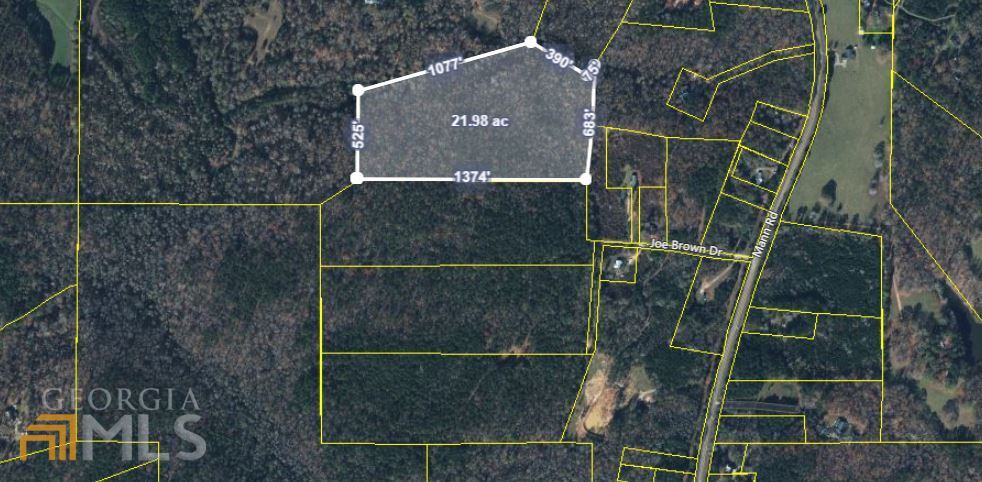 0 Joe Brown Drive Shiloh GA 31826