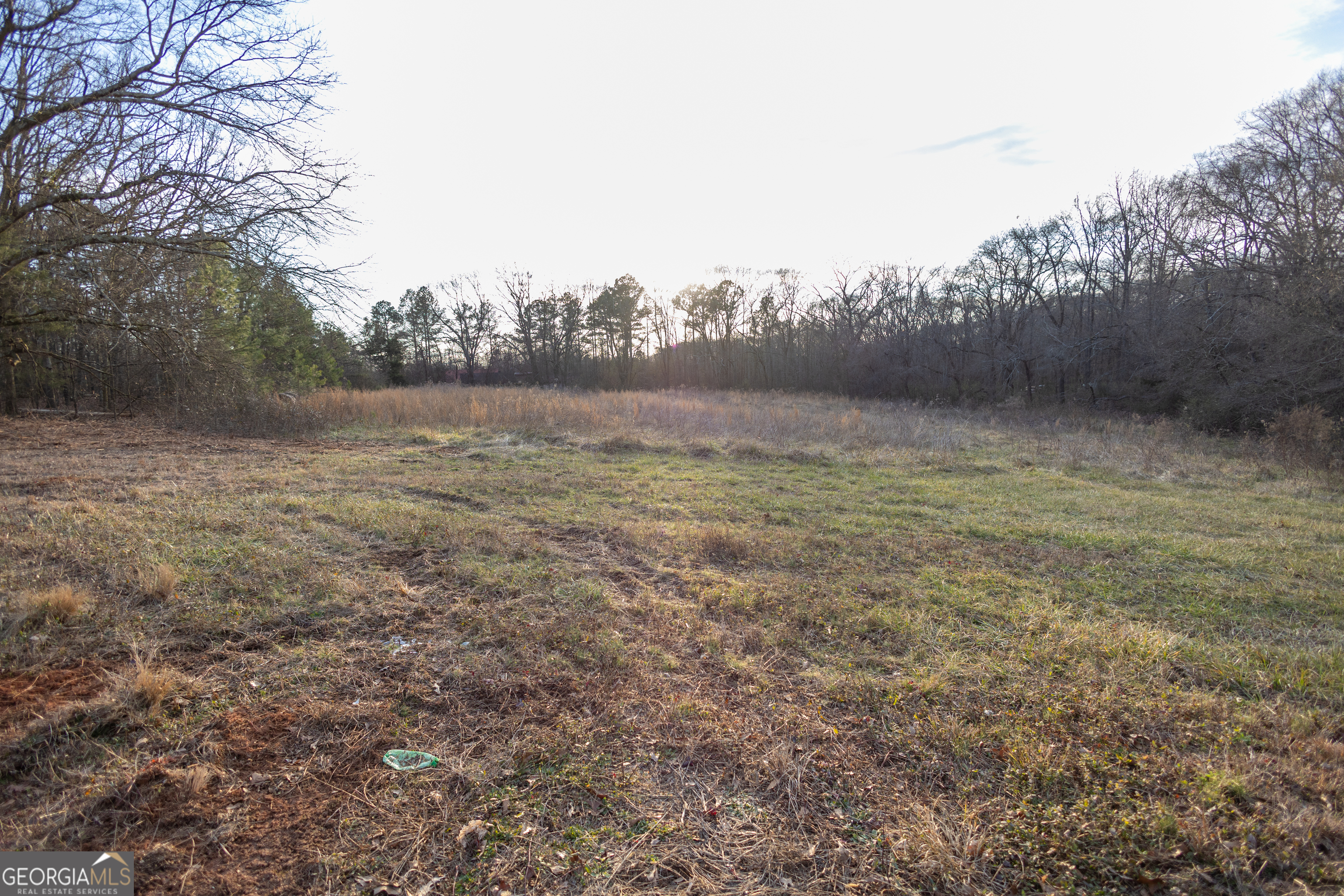 0 Bowman Highway Dewy Rose GA 30634