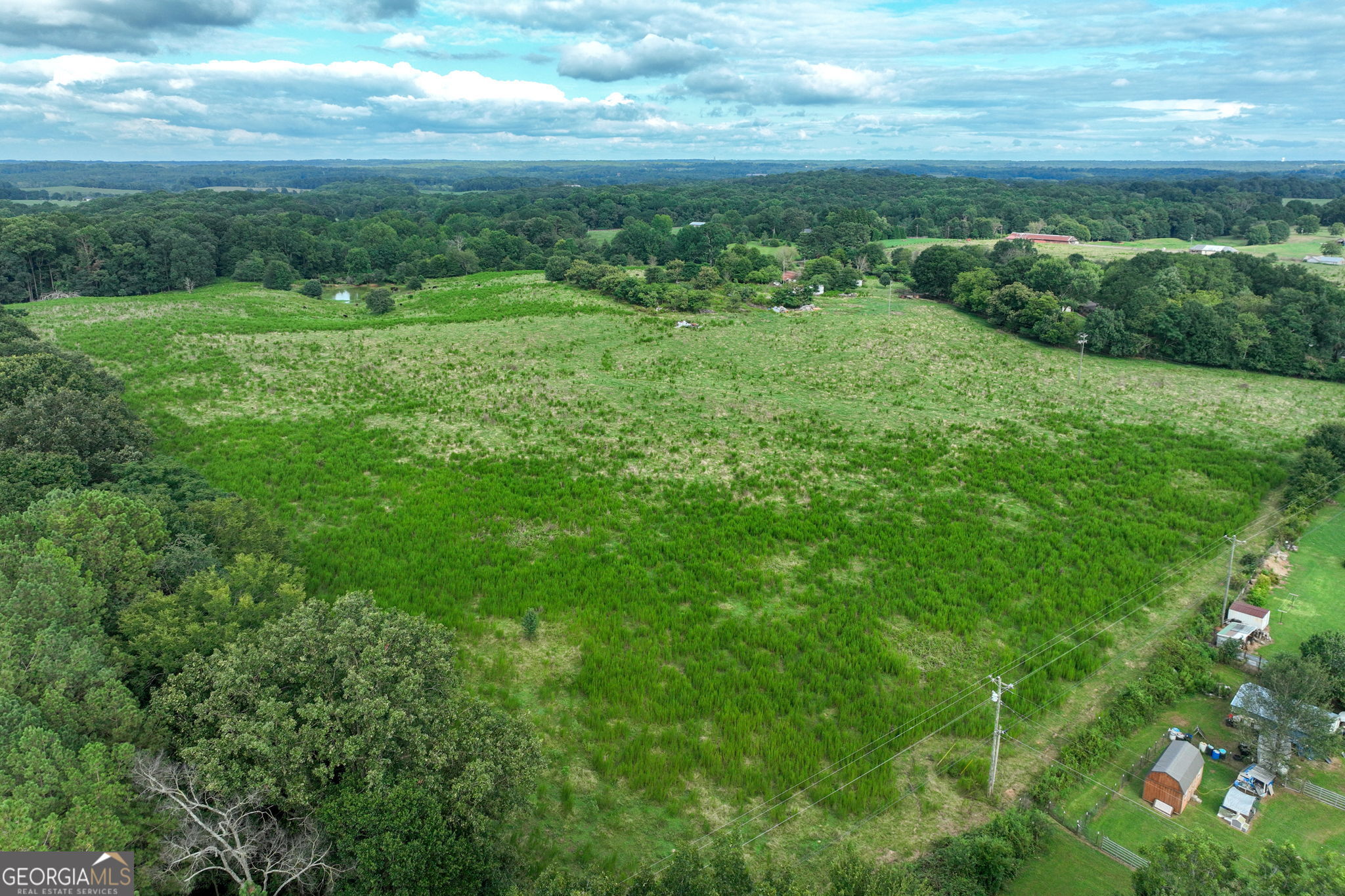 0 Turkey Creek Road Carnesville GA 30521