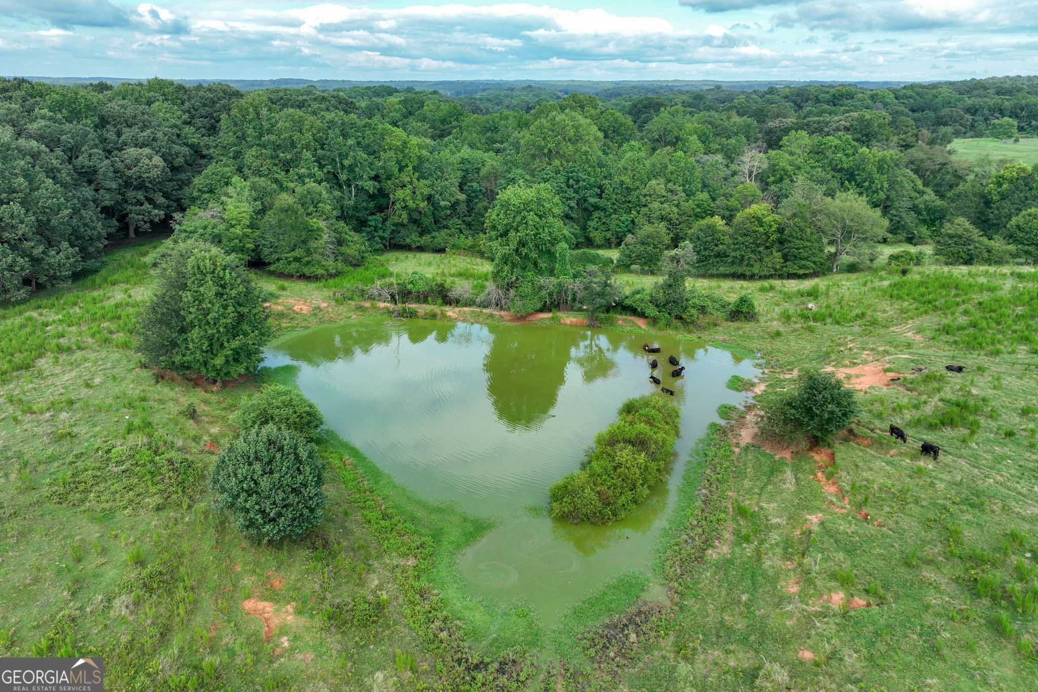 0 Turkey Creek Road Carnesville GA 30521