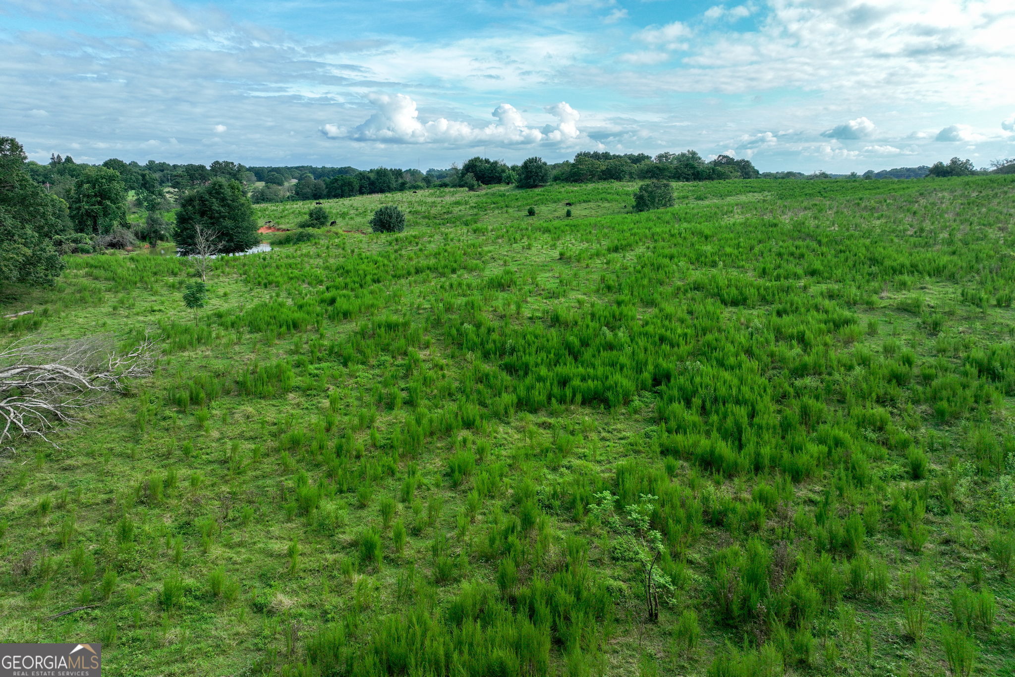 0 Turkey Creek Road Carnesville GA 30521