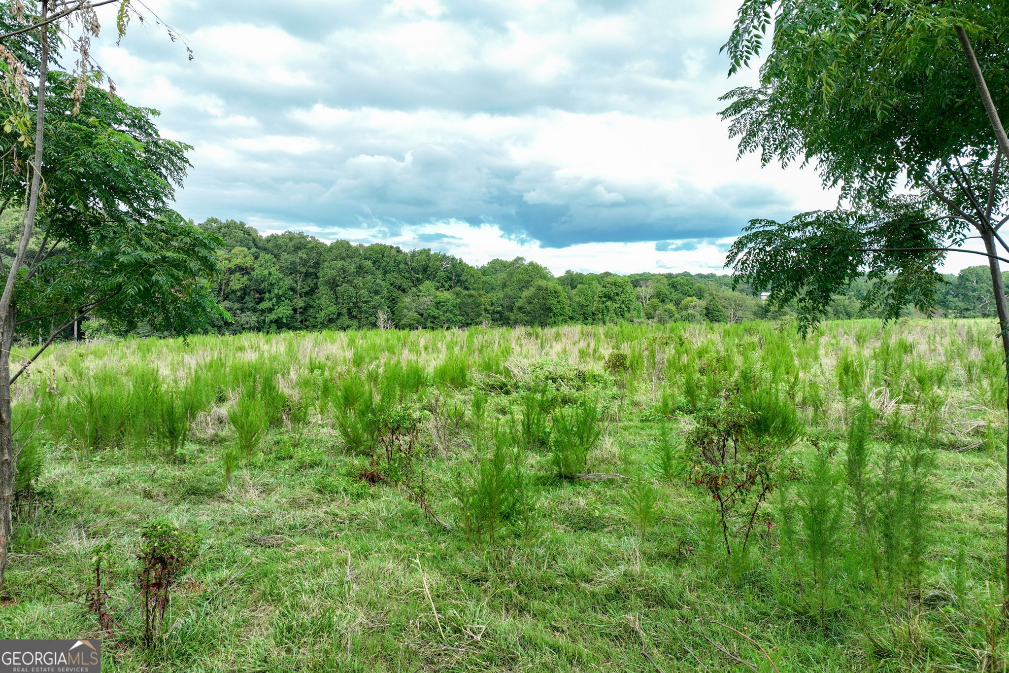 0 Turkey Creek Road Carnesville GA 30521