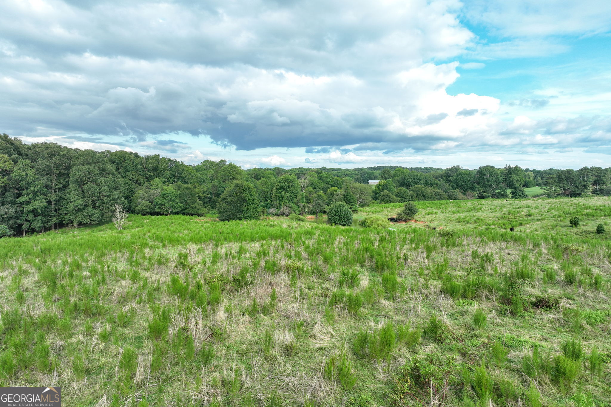 0 Turkey Creek Road Carnesville GA 30521