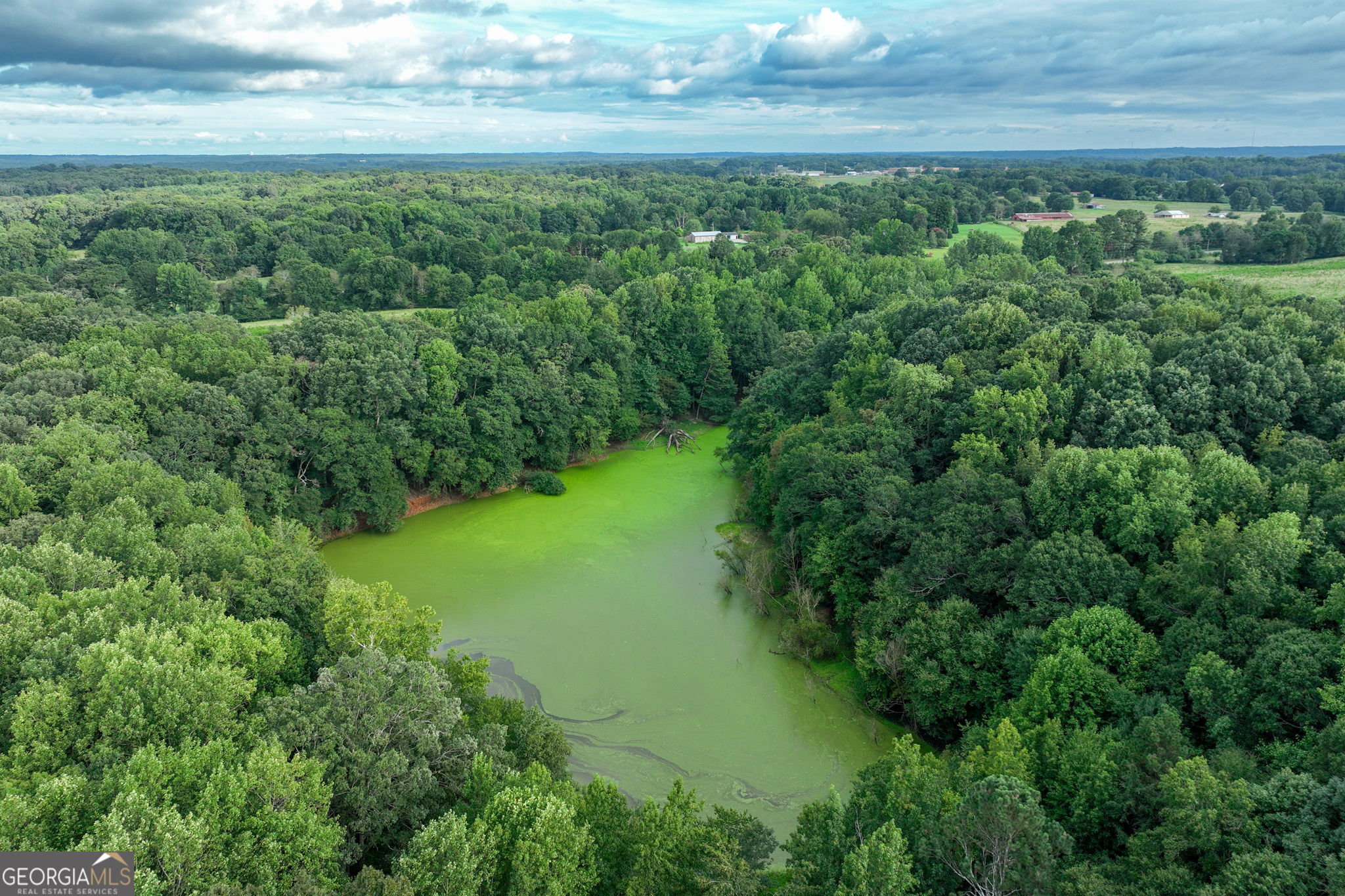 0 Turkey Creek Road Carnesville GA 30521