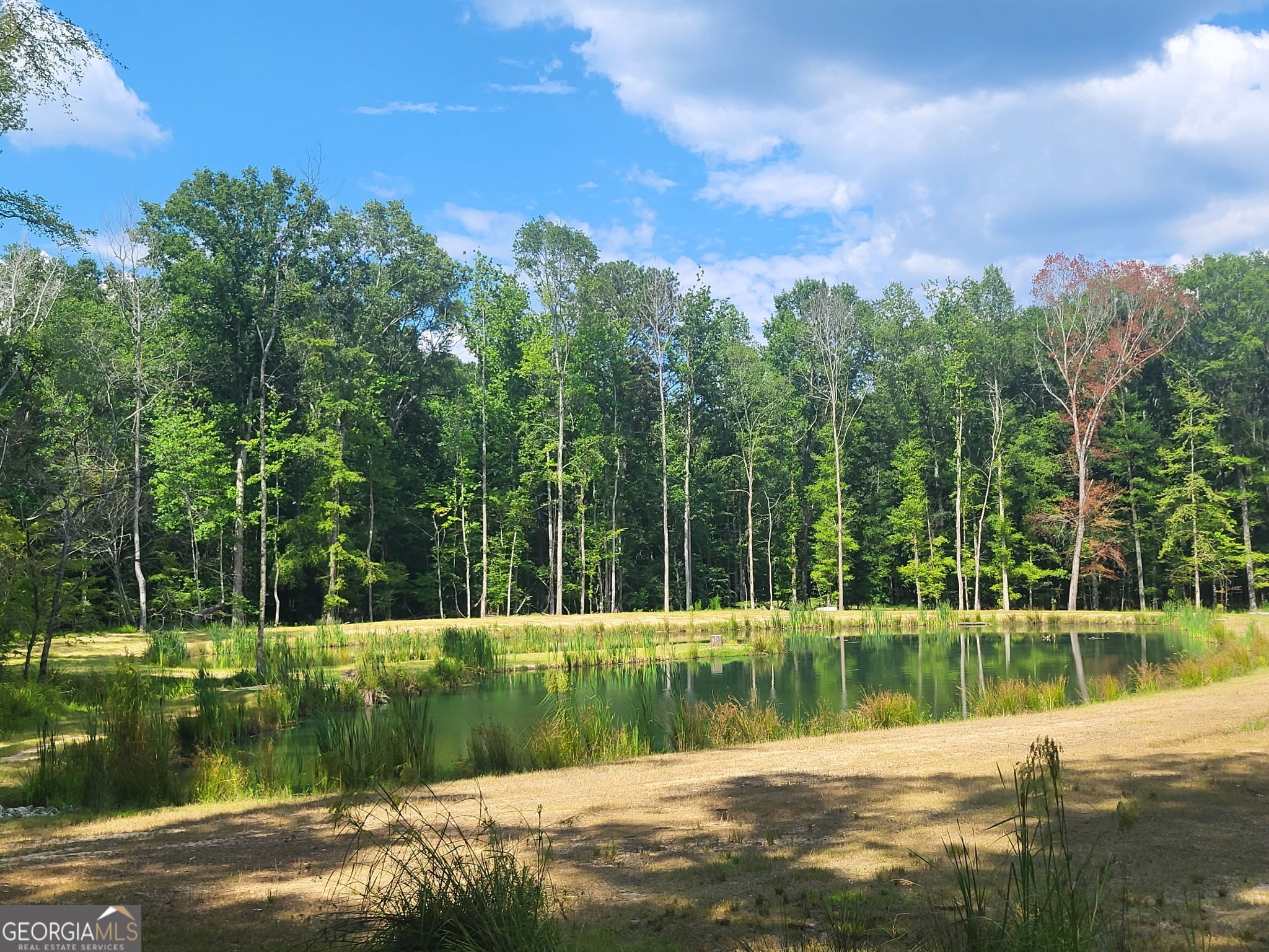0 Court Ground Washington GA 30673