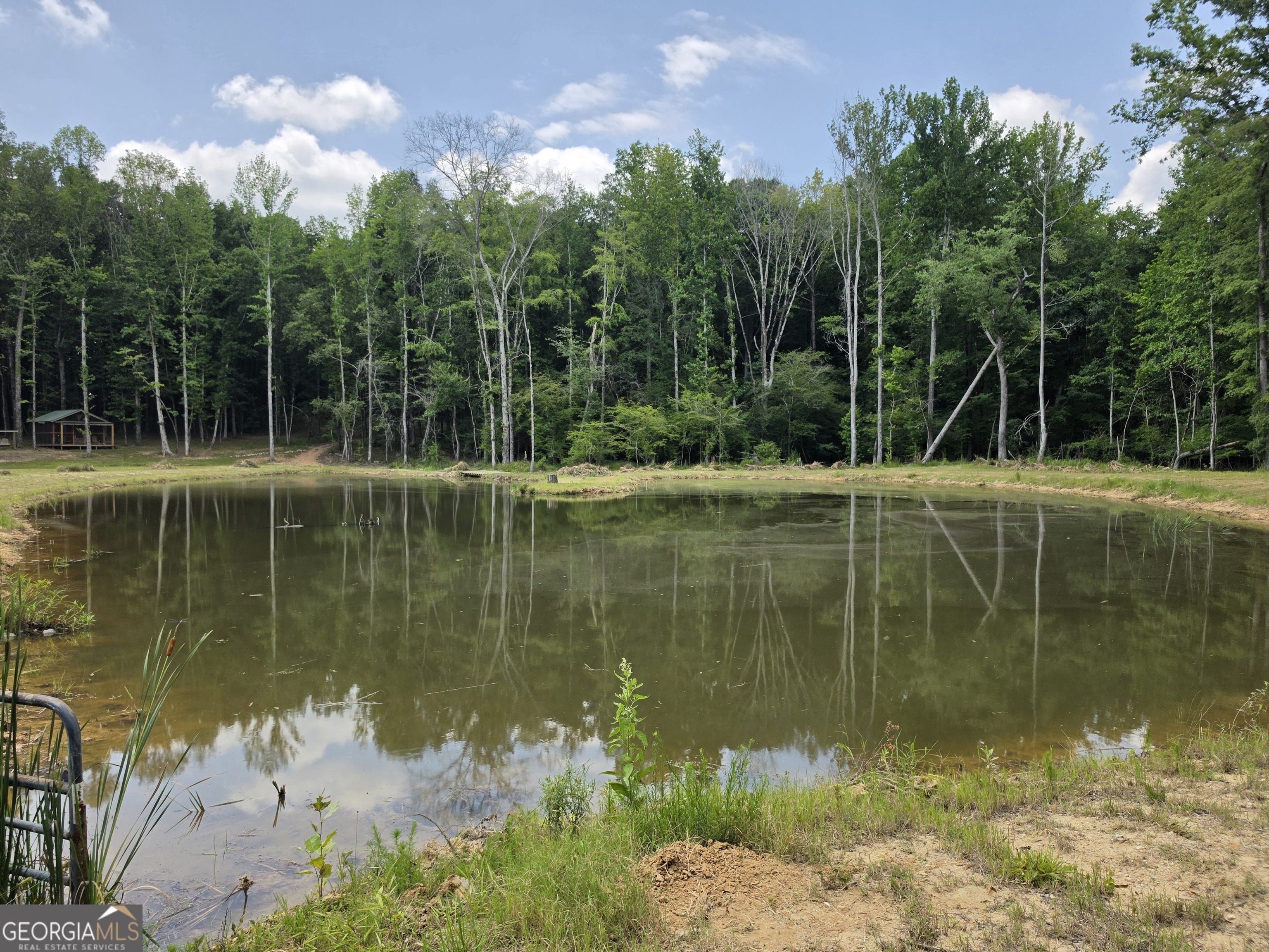 0 Court Ground Washington GA 30673