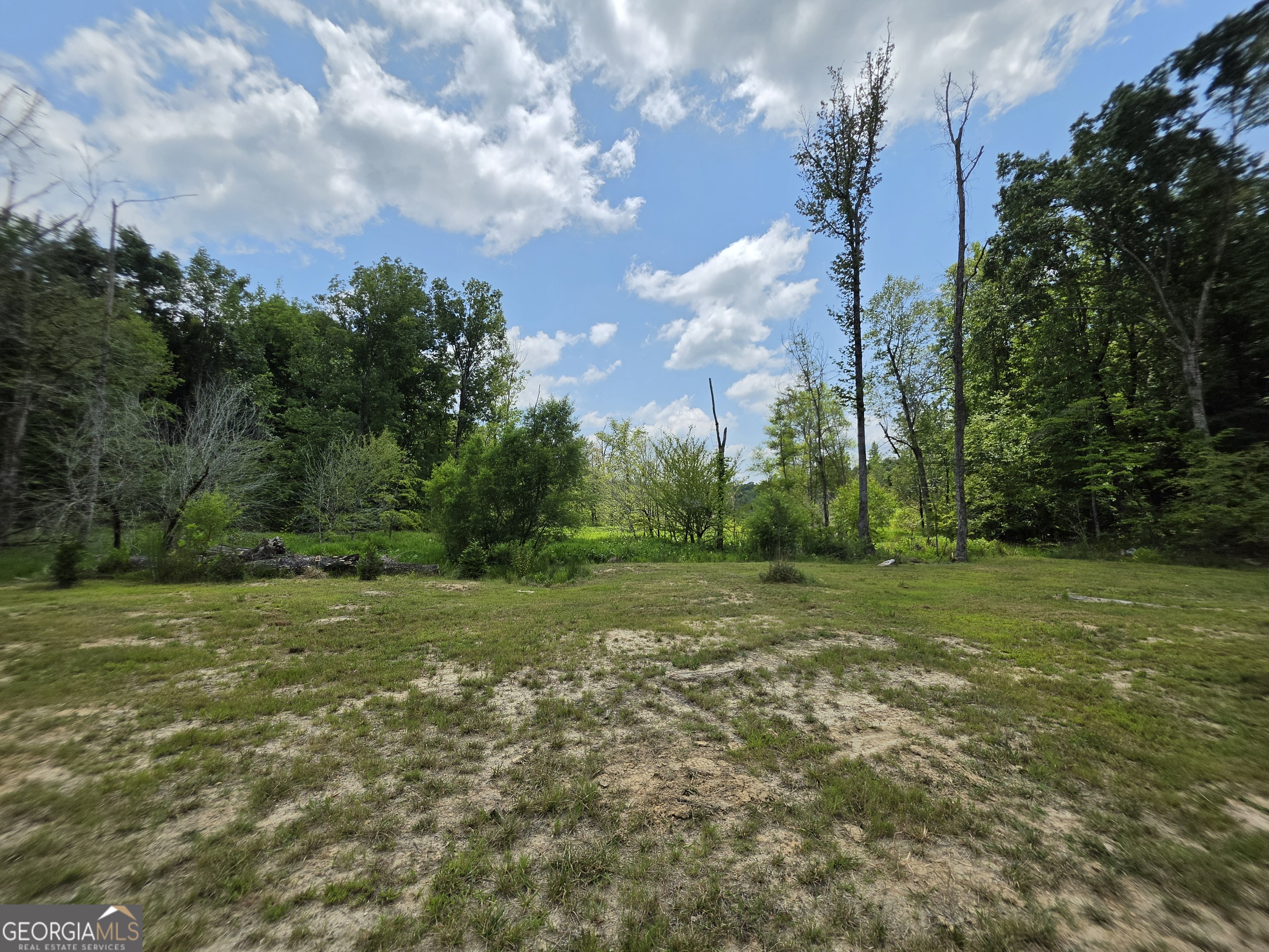 0 Court Ground Washington GA 30673