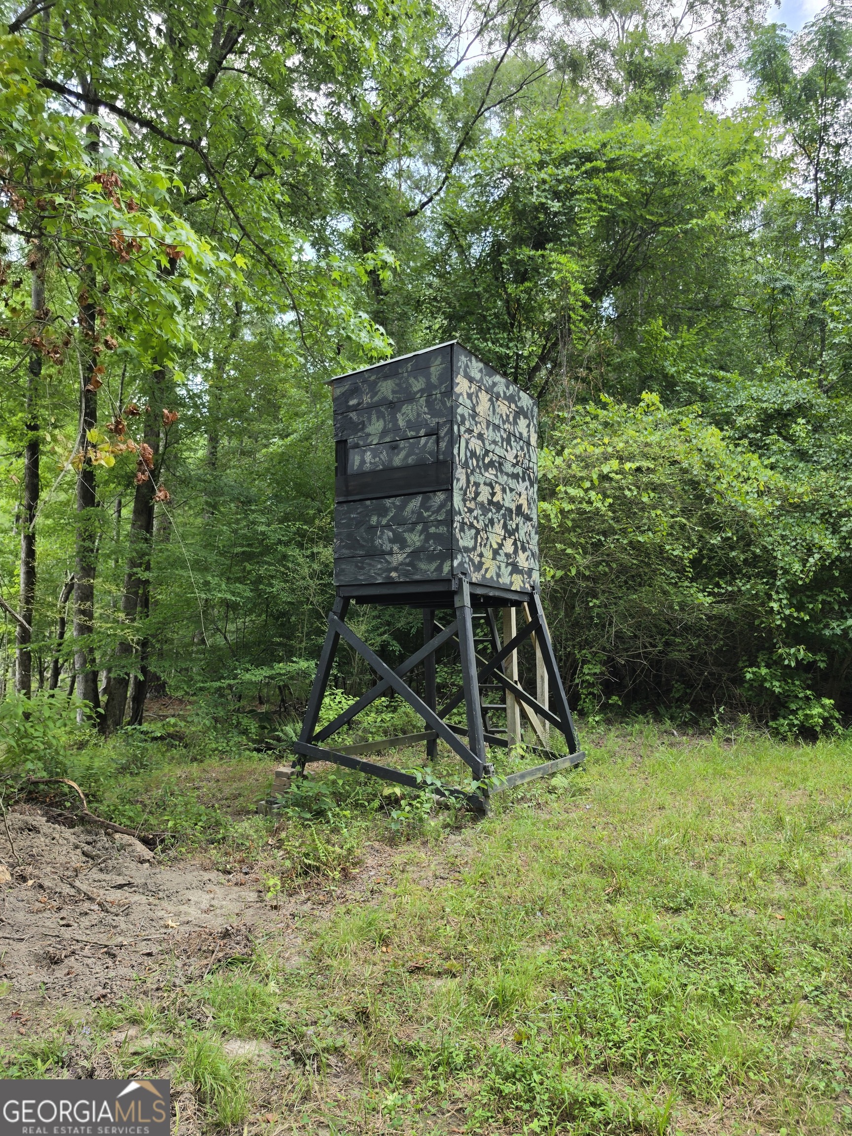 0 Court Ground Washington GA 30673