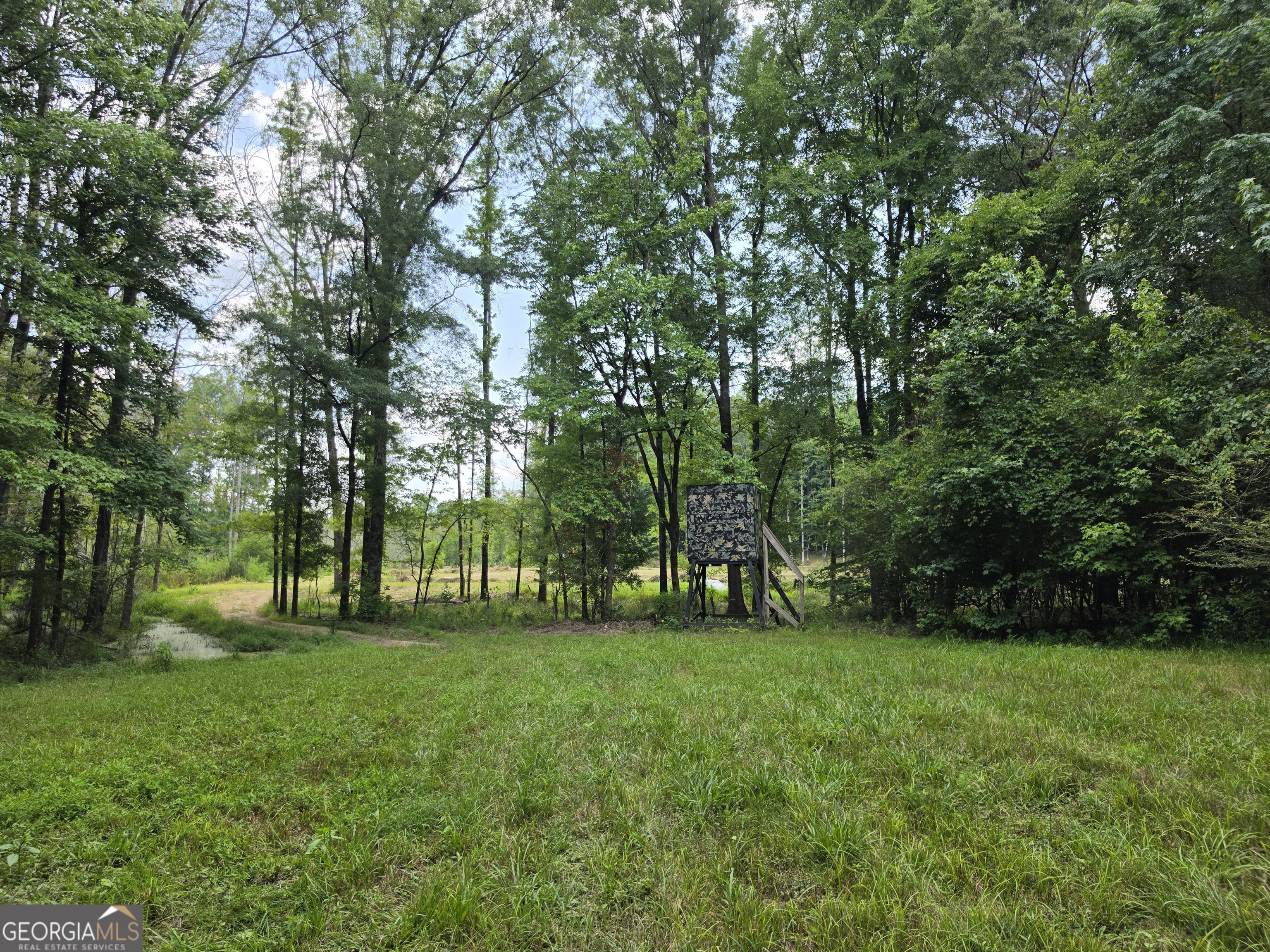 0 Court Ground Washington GA 30673
