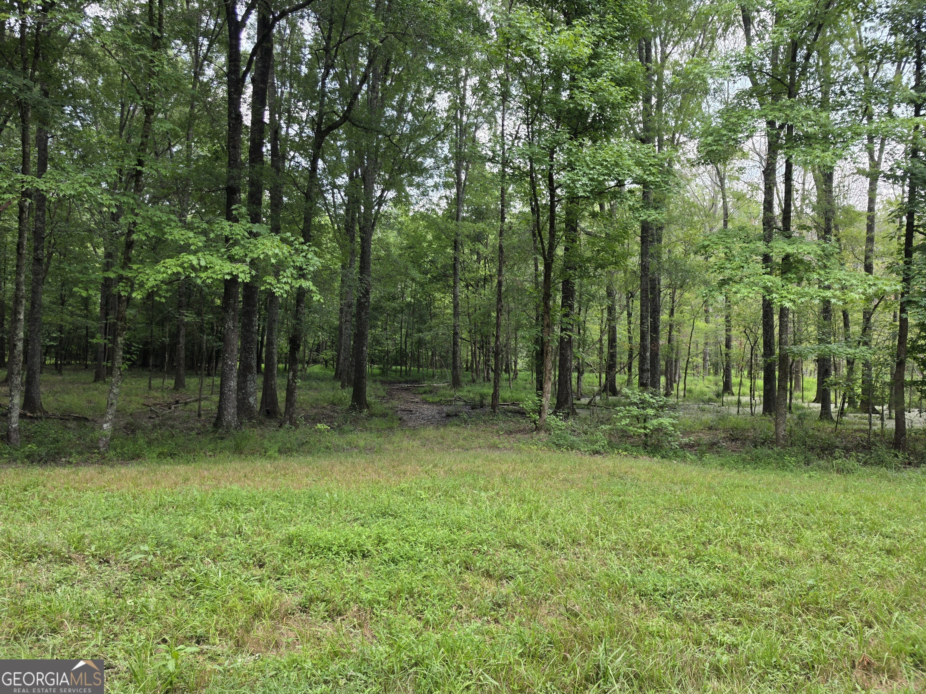 0 Court Ground Washington GA 30673