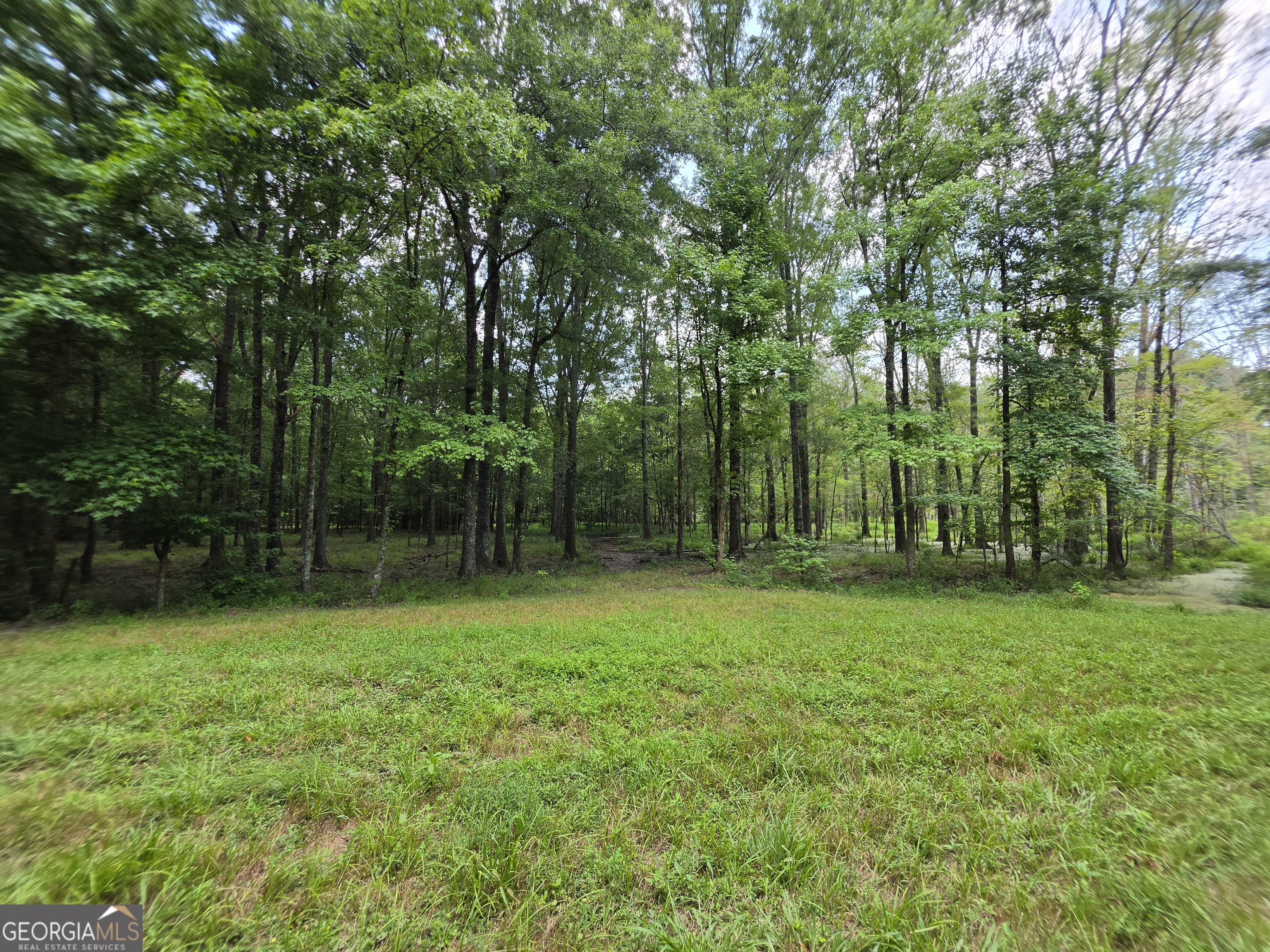 0 Court Ground Washington GA 30673