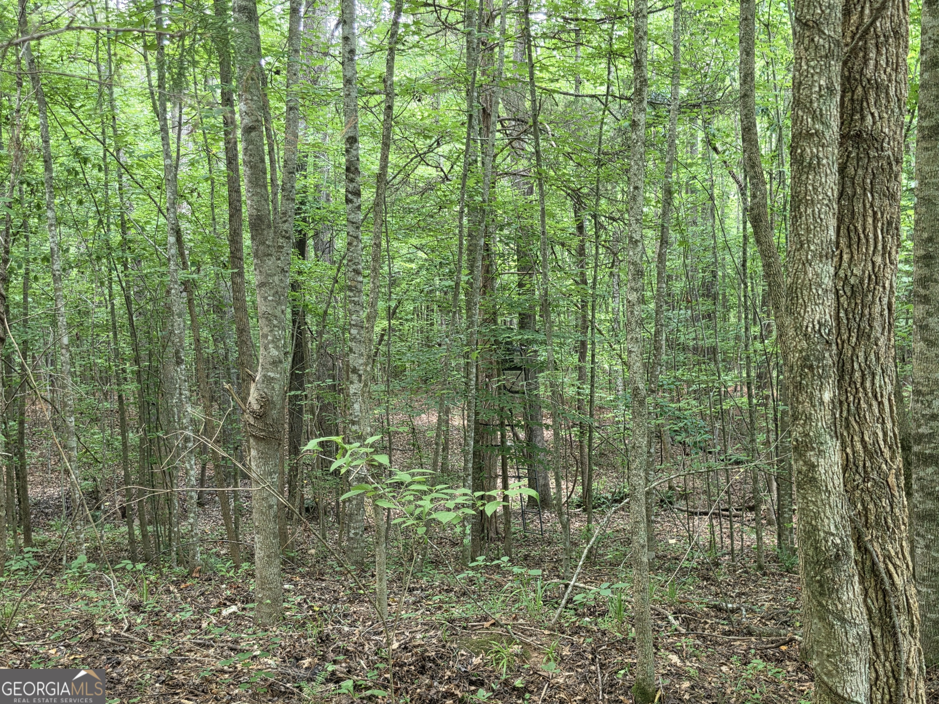 0 Court Ground Washington GA 30673
