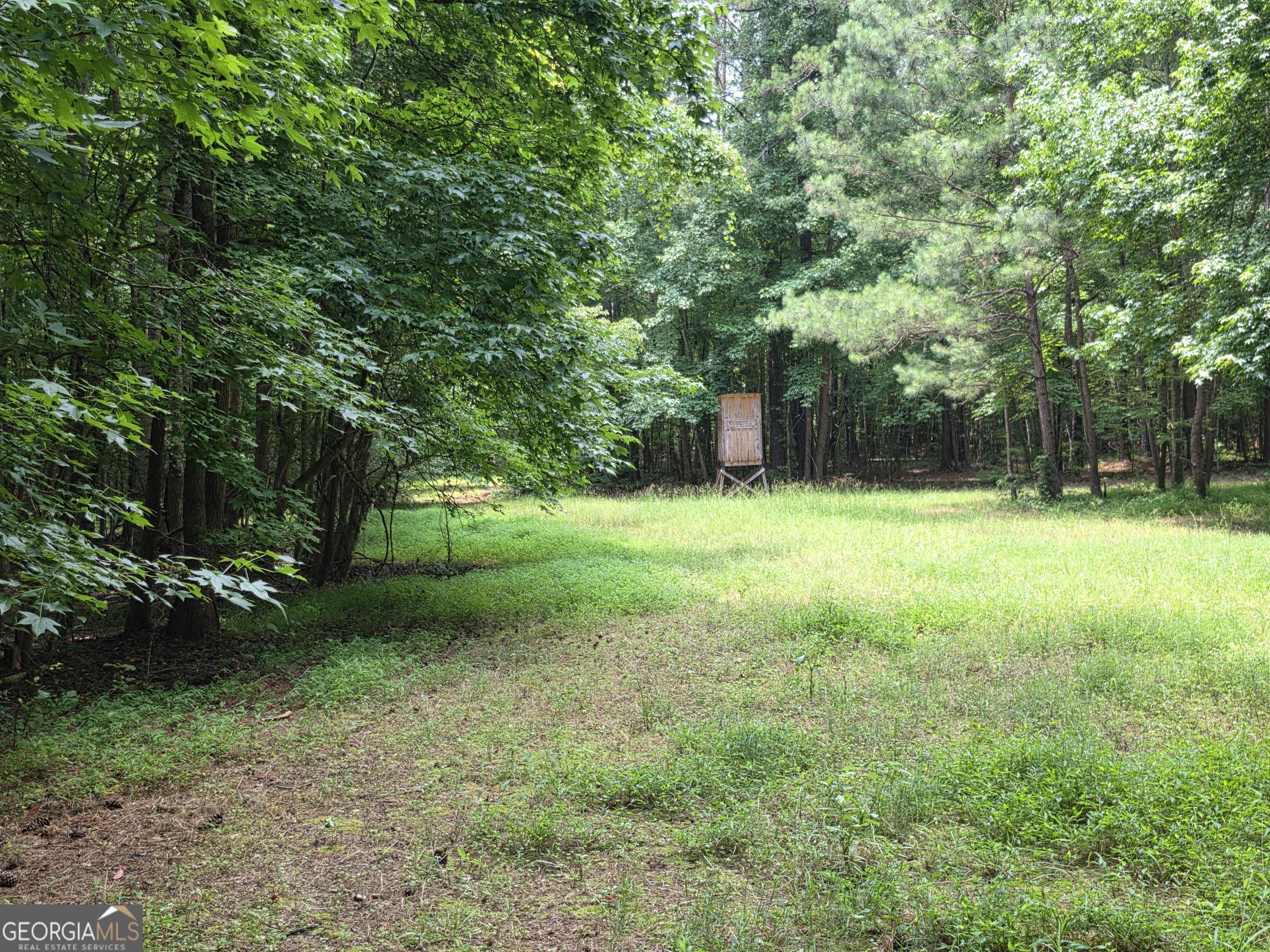 0 Court Ground Washington GA 30673