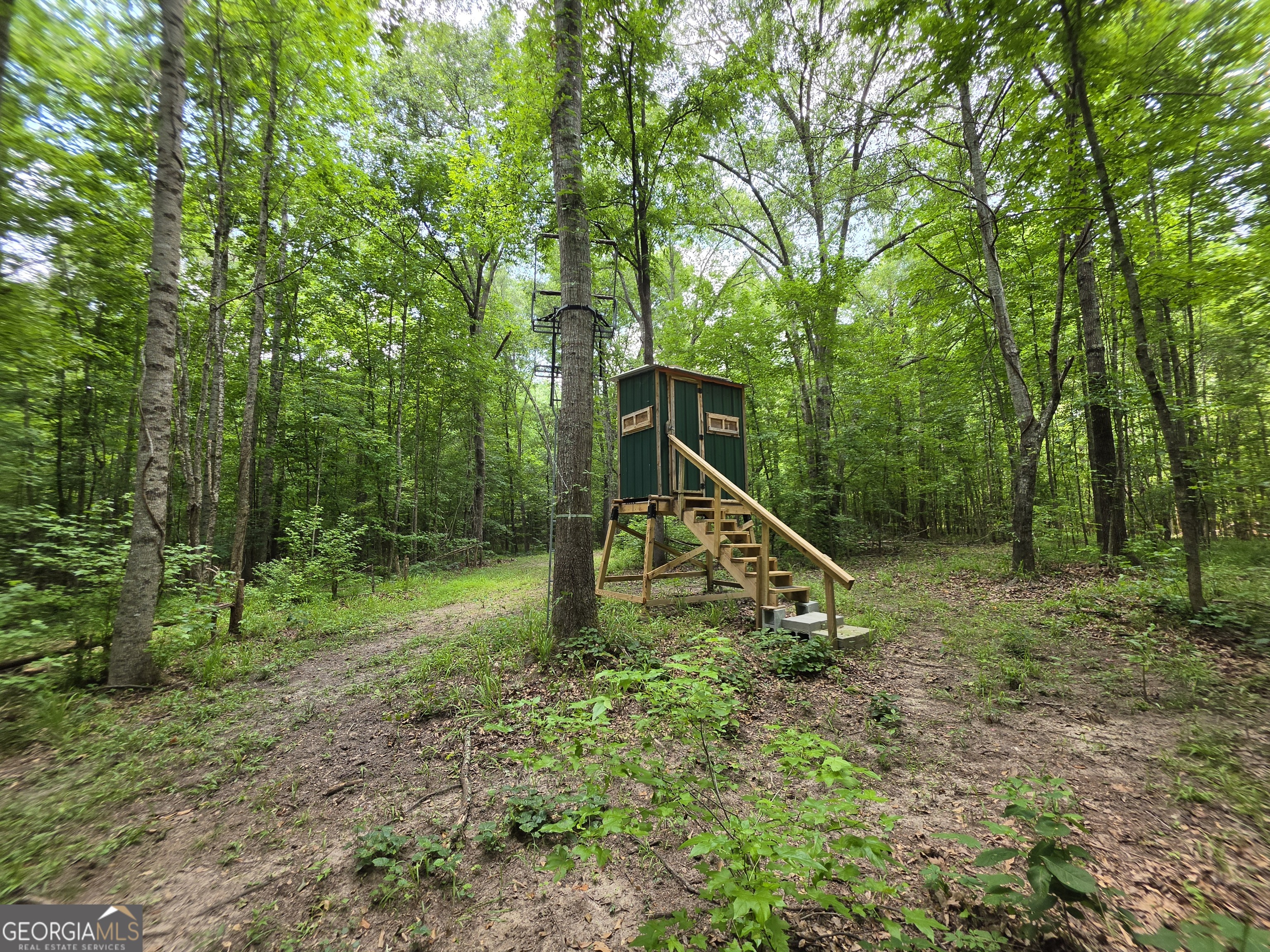 0 Court Ground Washington GA 30673