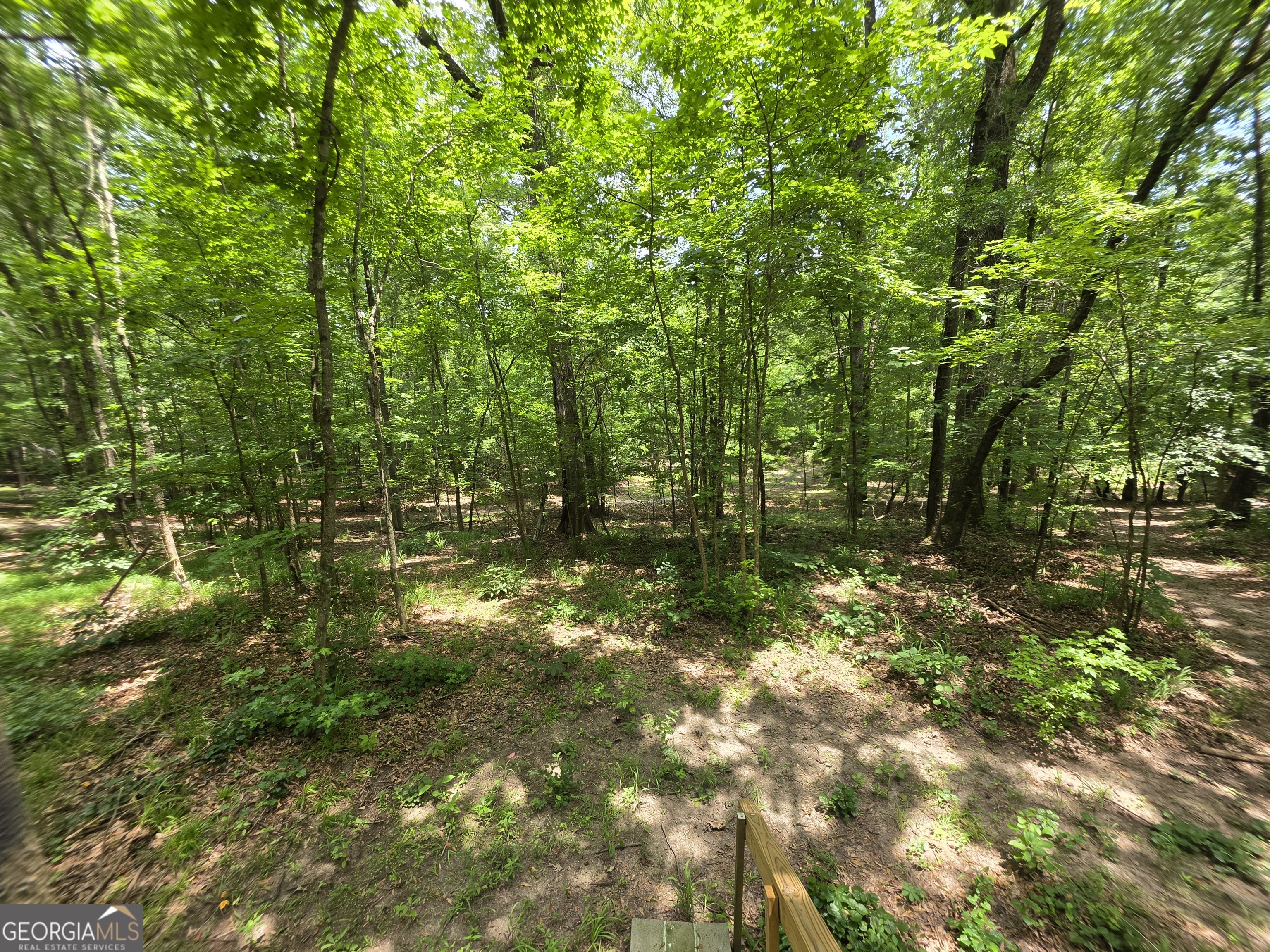 0 Court Ground Washington GA 30673