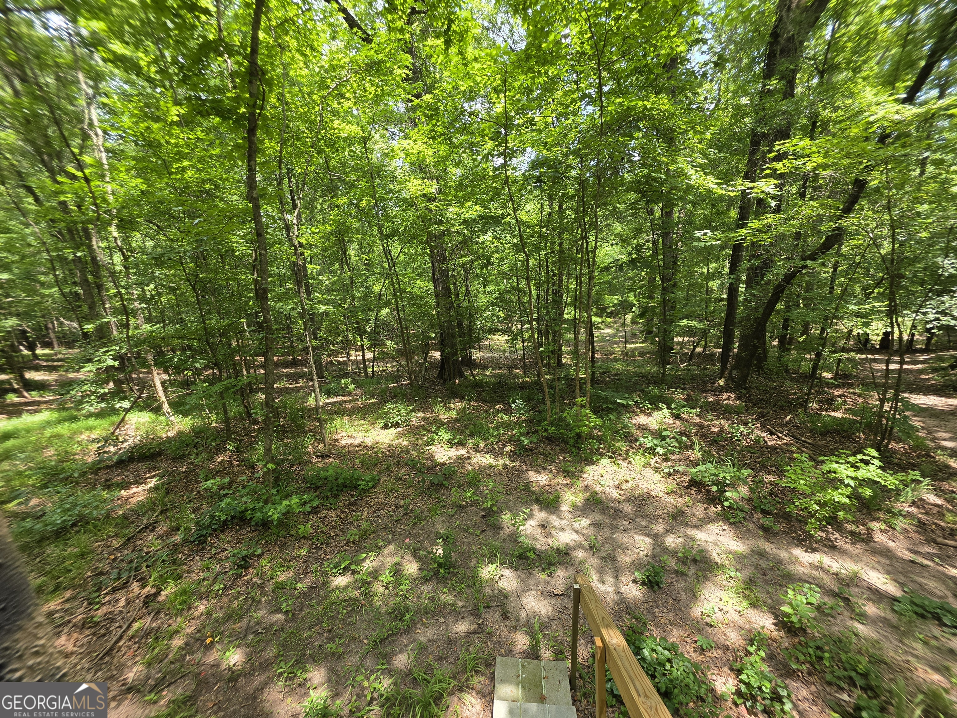 0 Court Ground Washington GA 30673