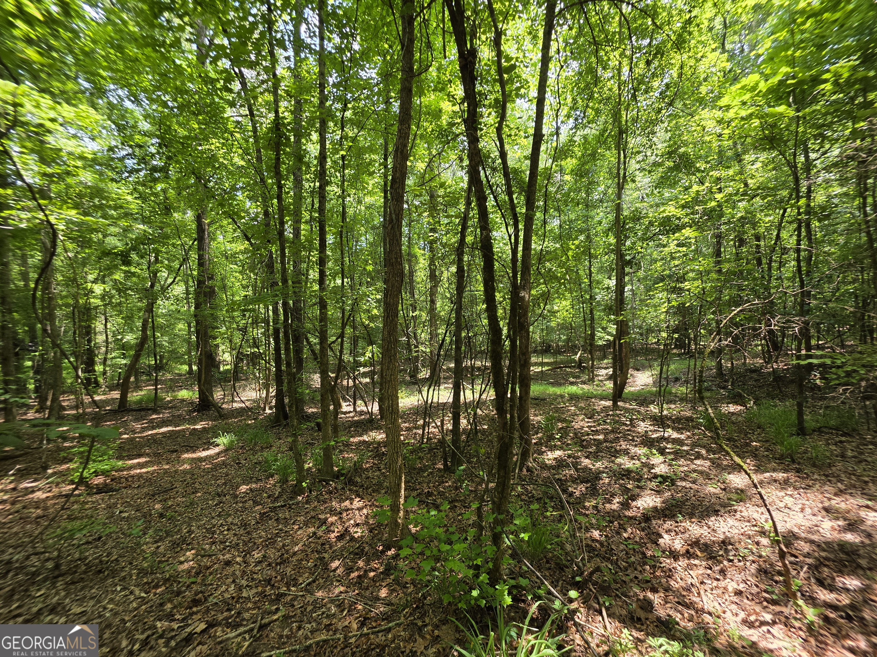 0 Court Ground Washington GA 30673