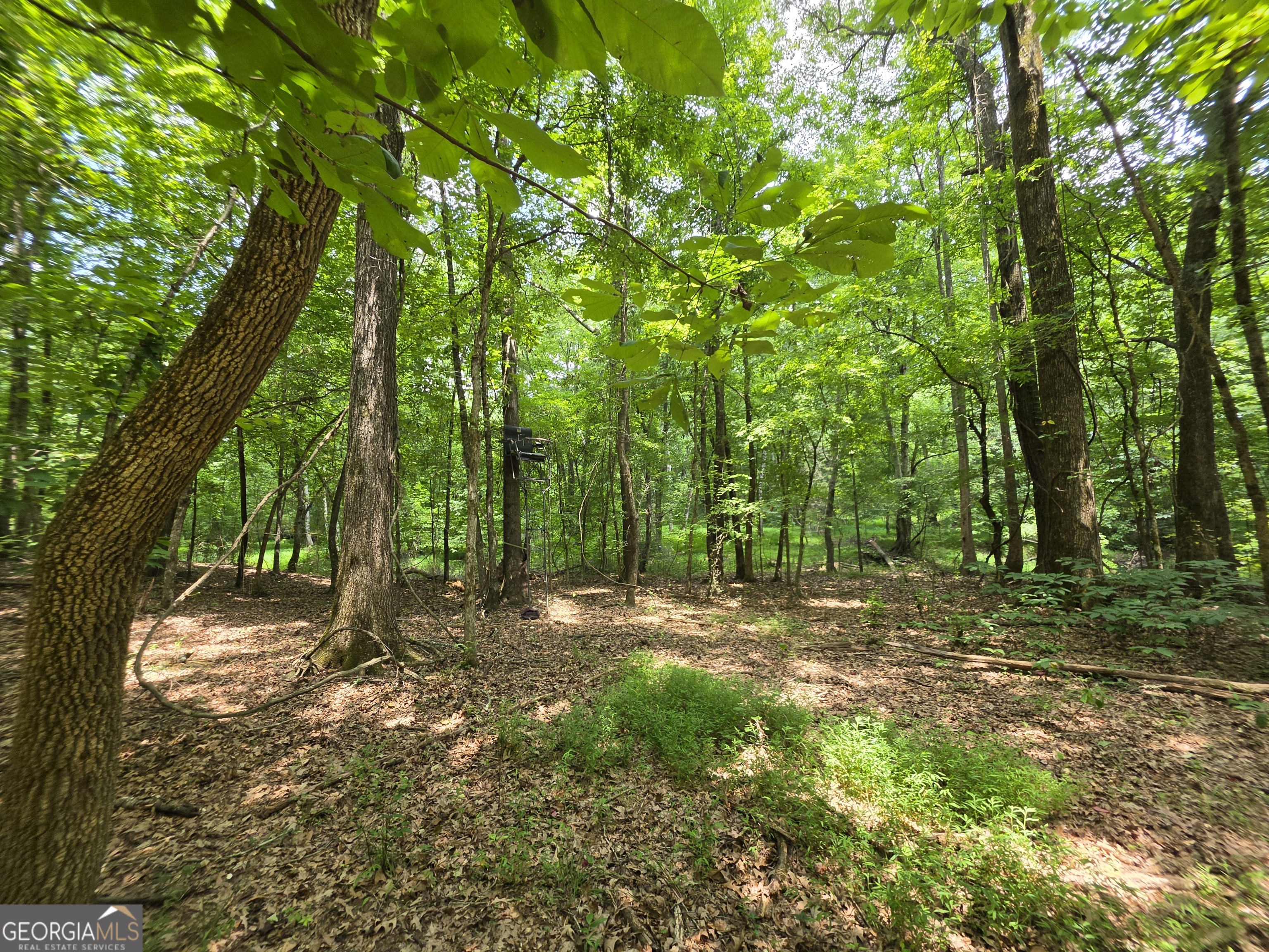 0 Court Ground Washington GA 30673