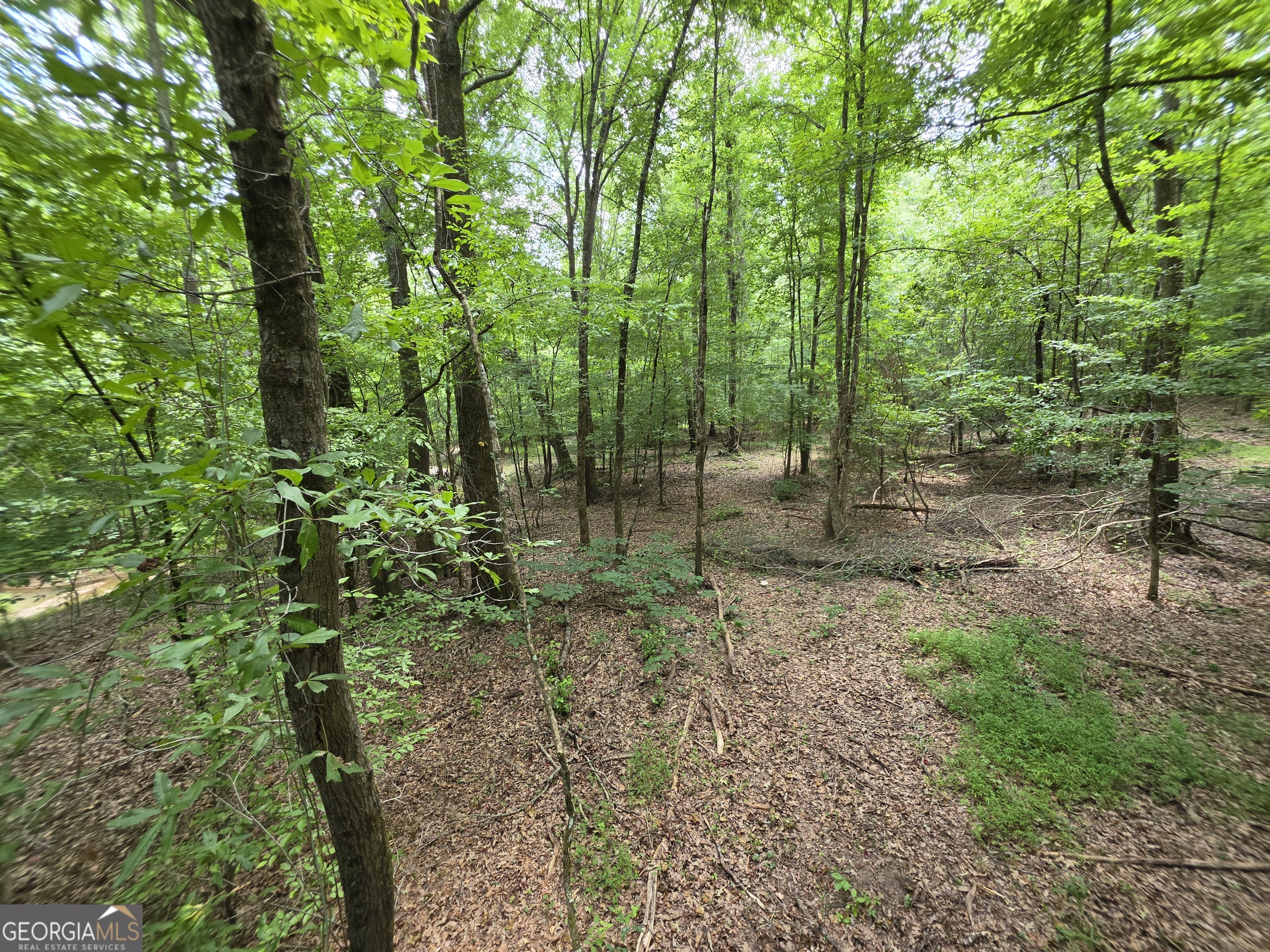 0 Court Ground Washington GA 30673