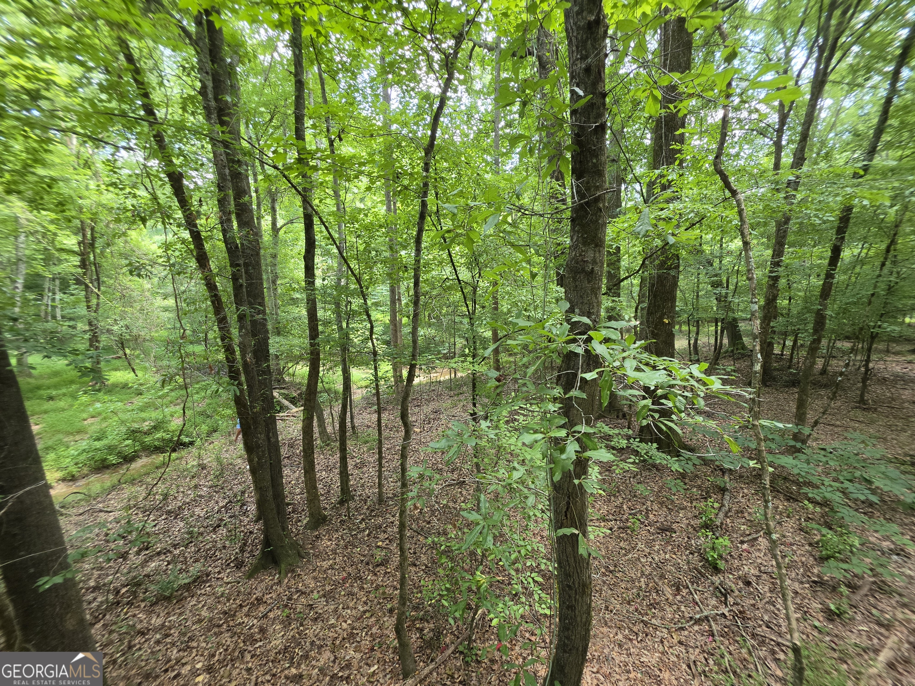 0 Court Ground Washington GA 30673