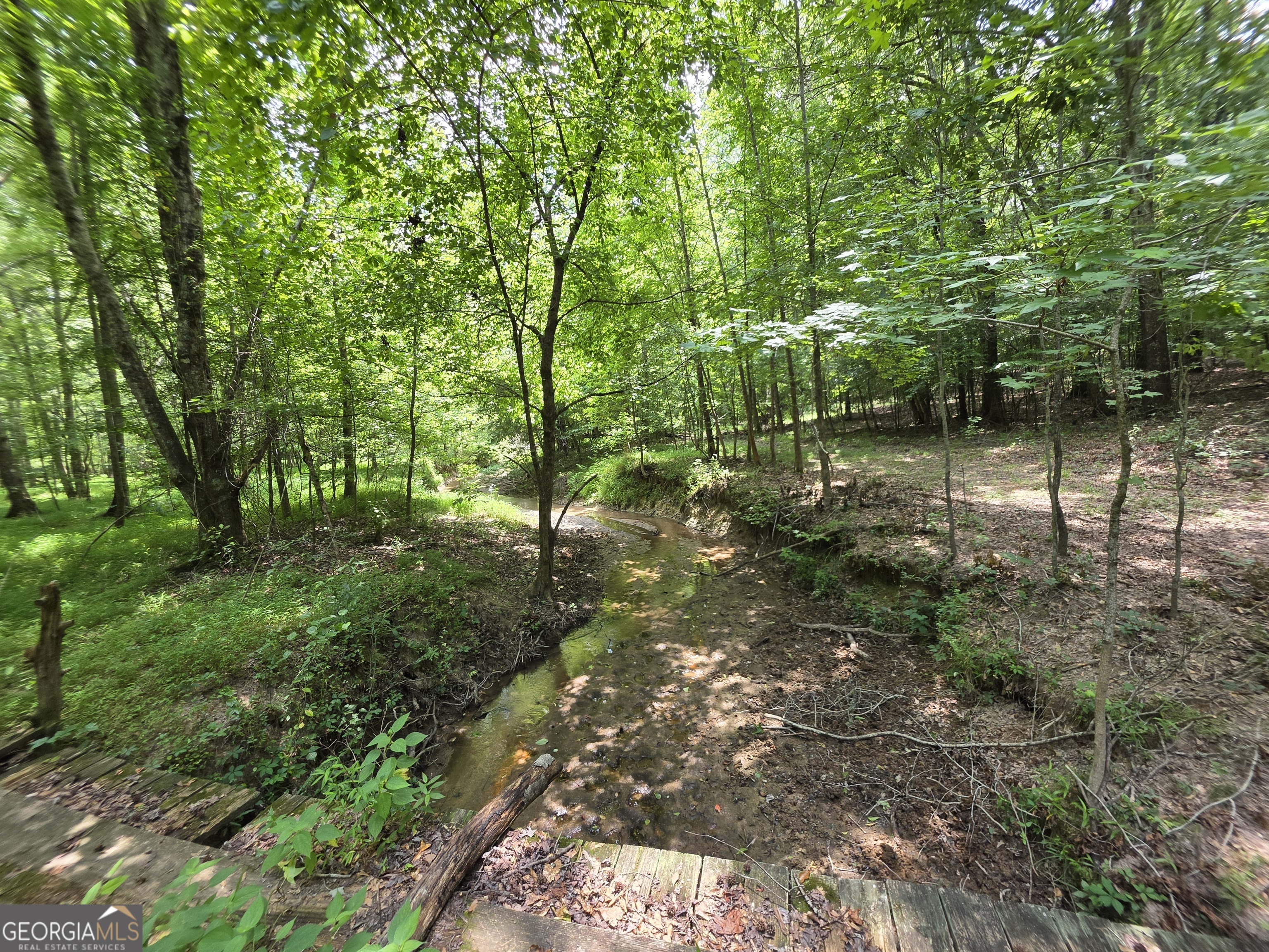 0 Court Ground Washington GA 30673