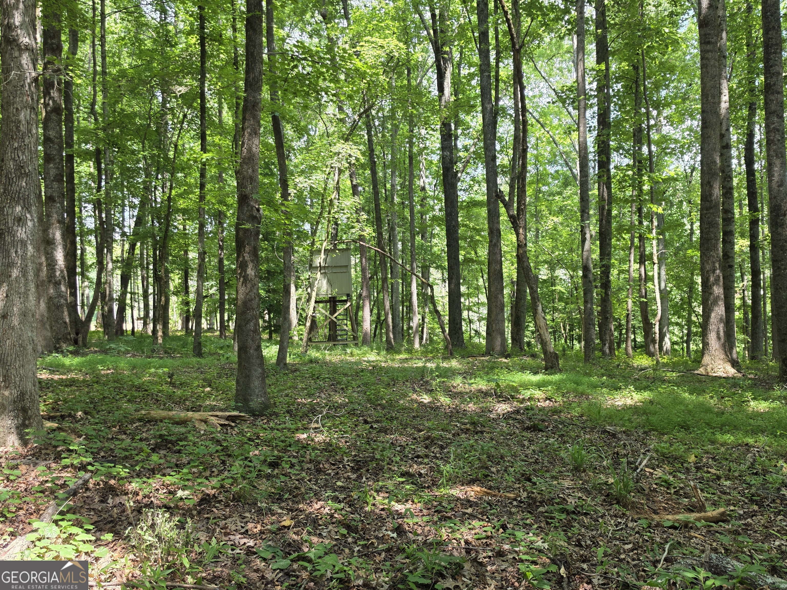 0 Court Ground Washington GA 30673