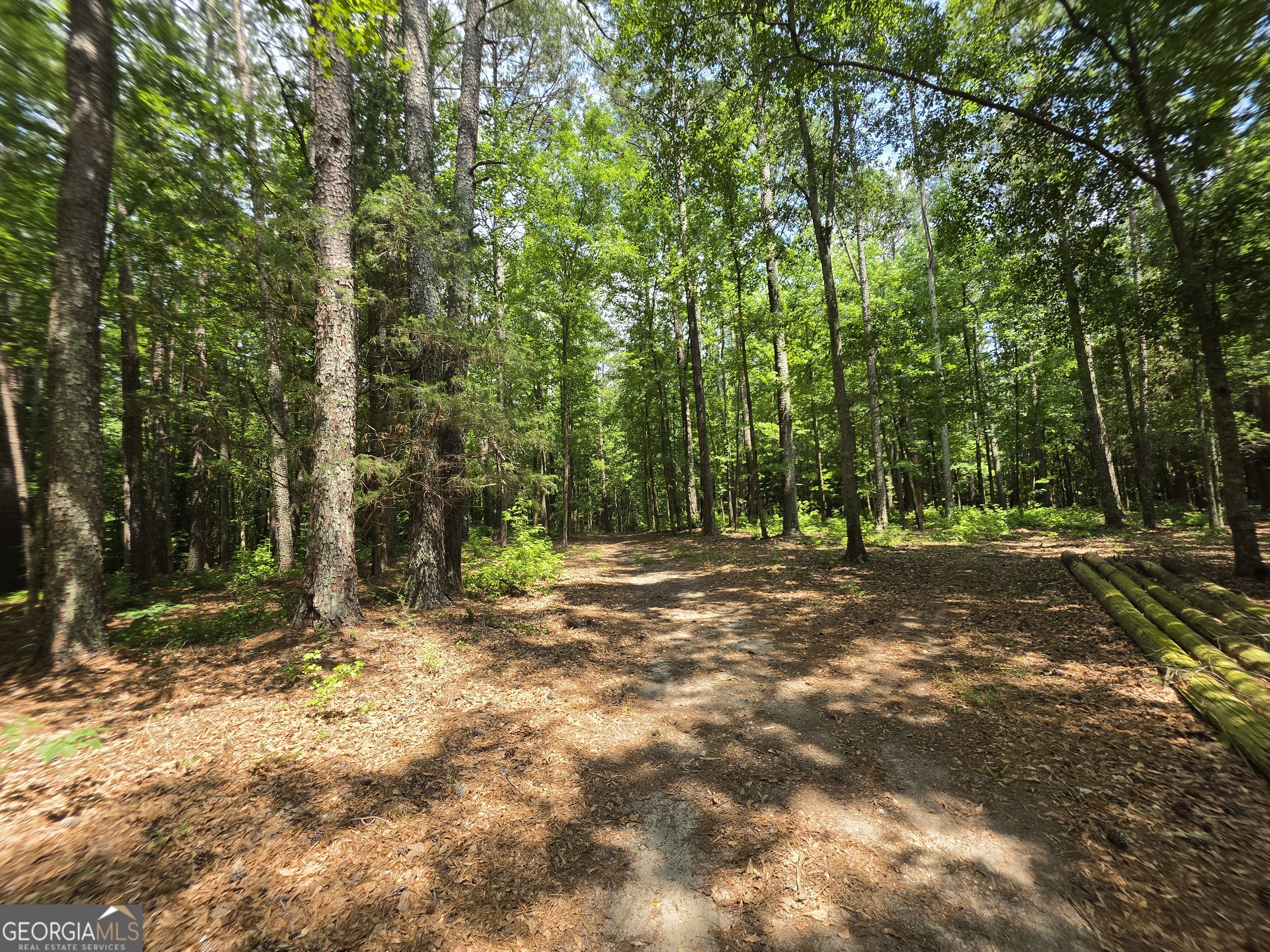 0 Court Ground Washington GA 30673