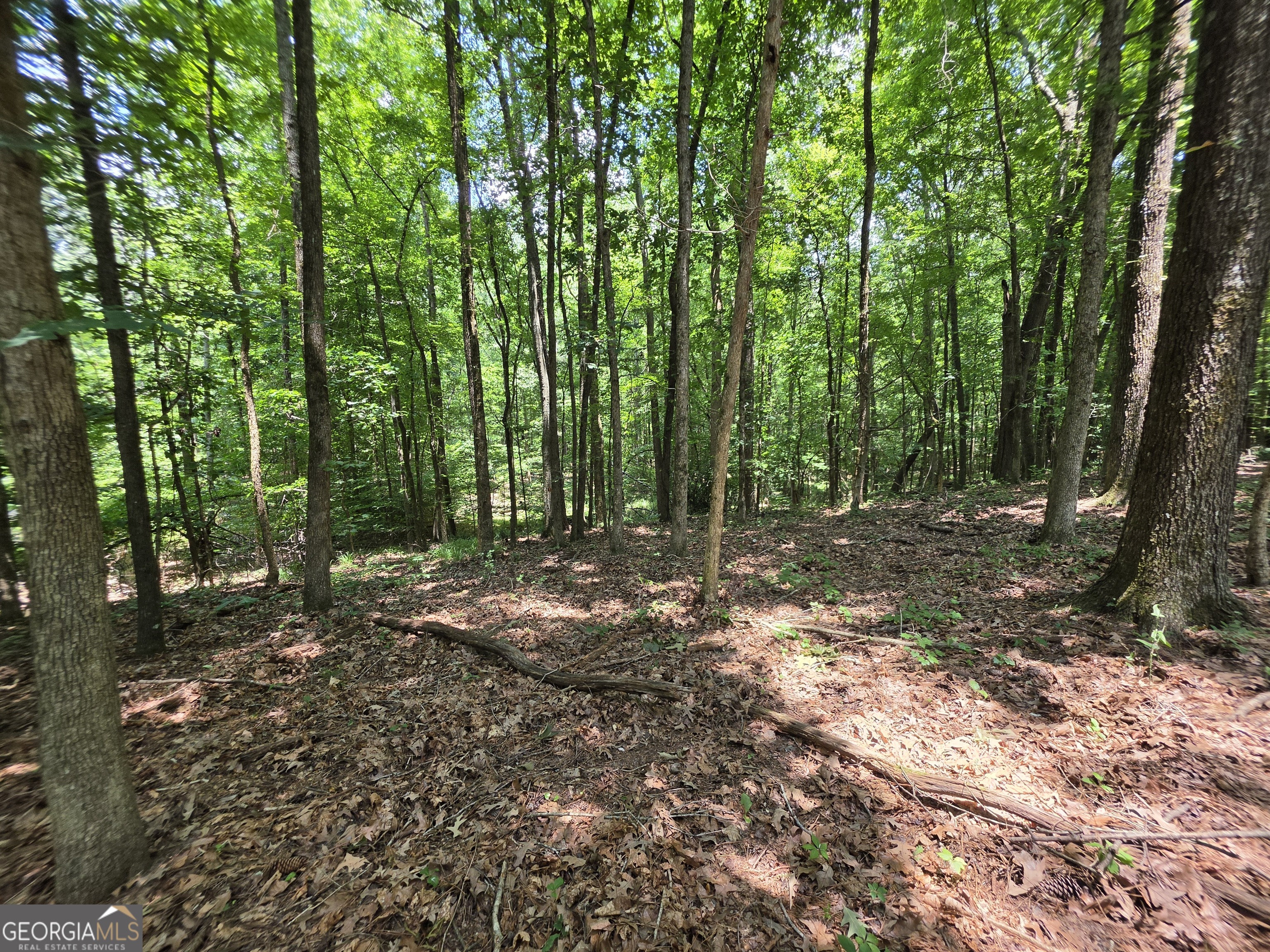0 Court Ground Washington GA 30673