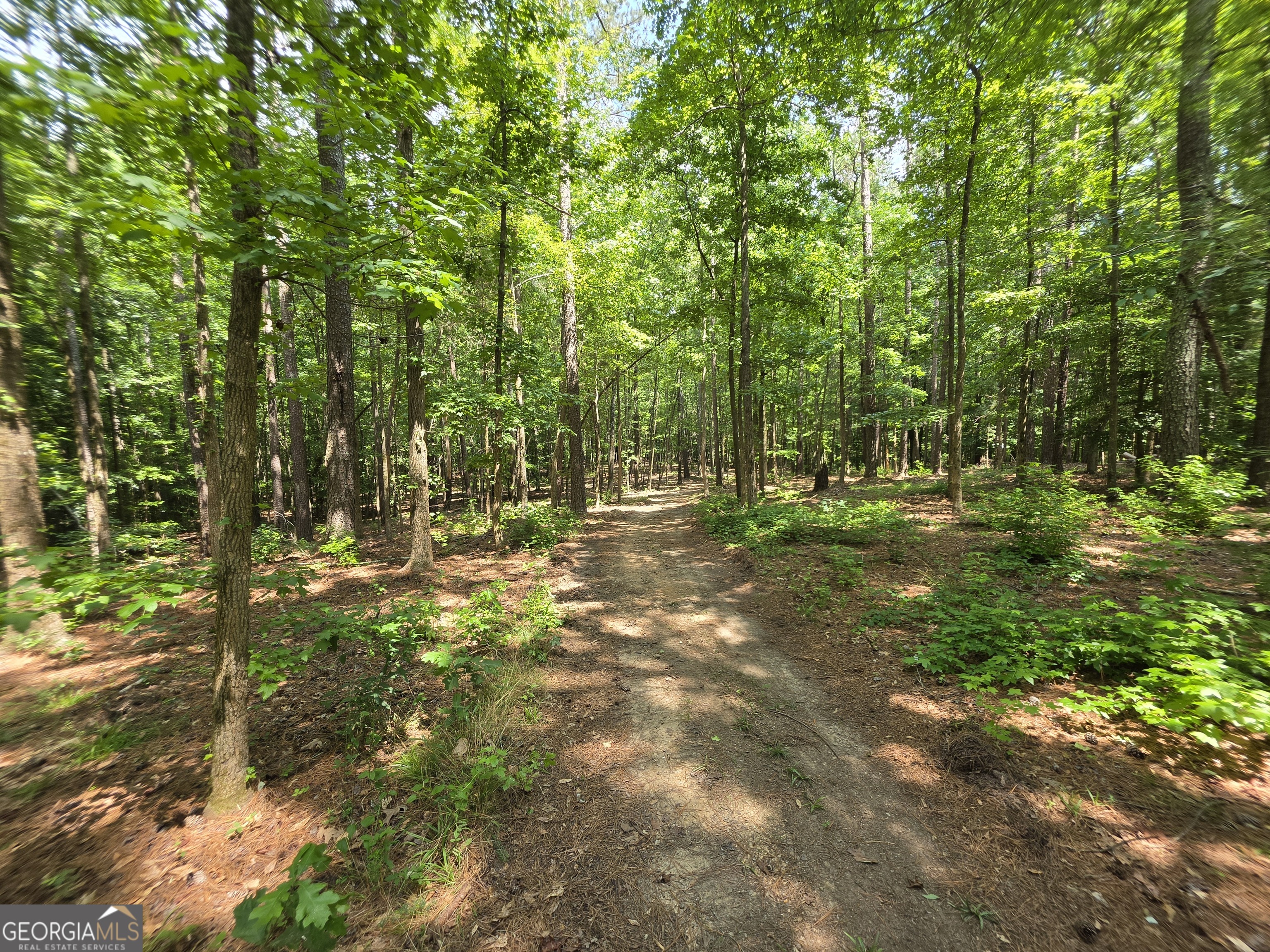 0 Court Ground Washington GA 30673
