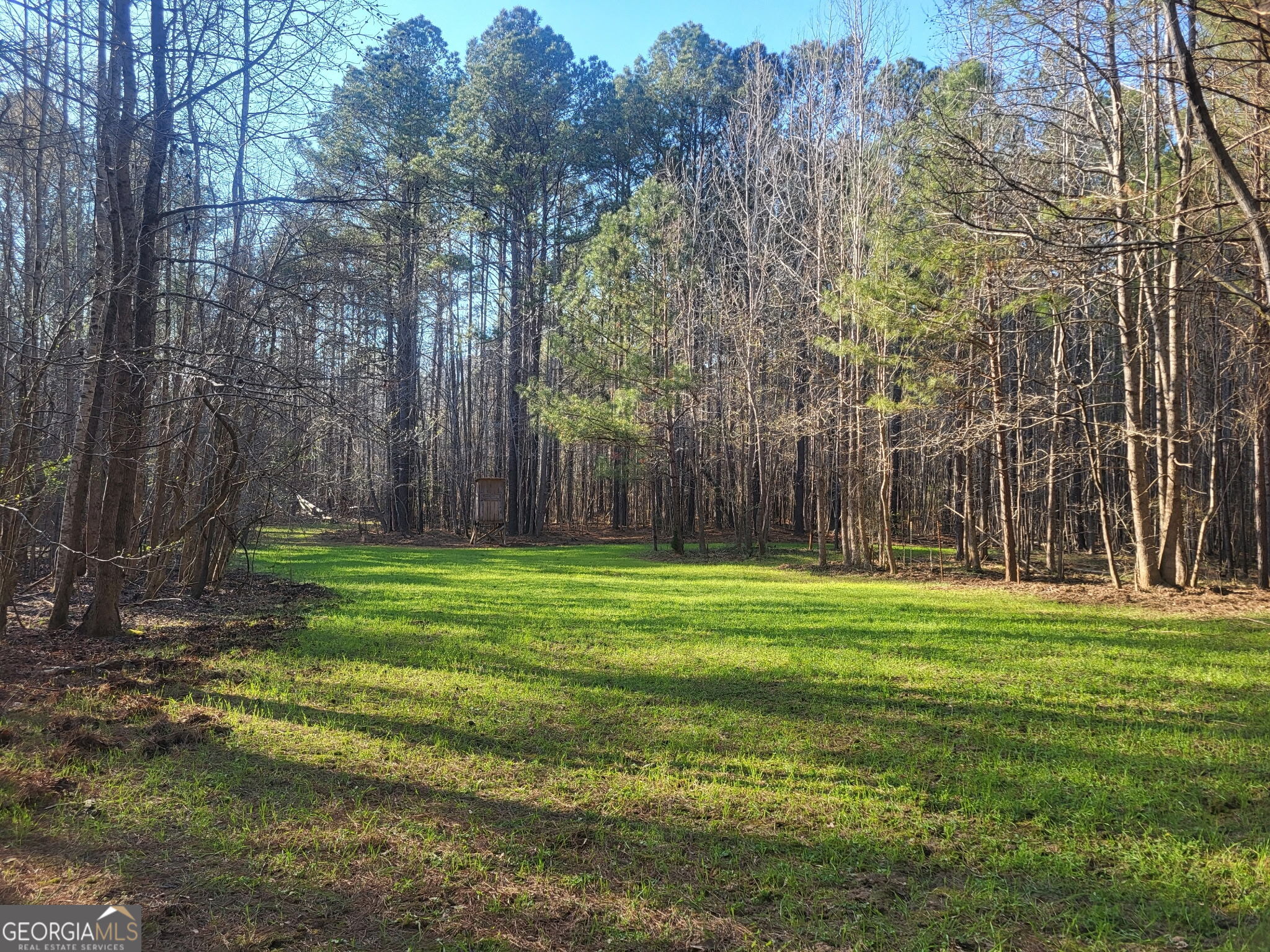0 Court Ground Washington GA 30673