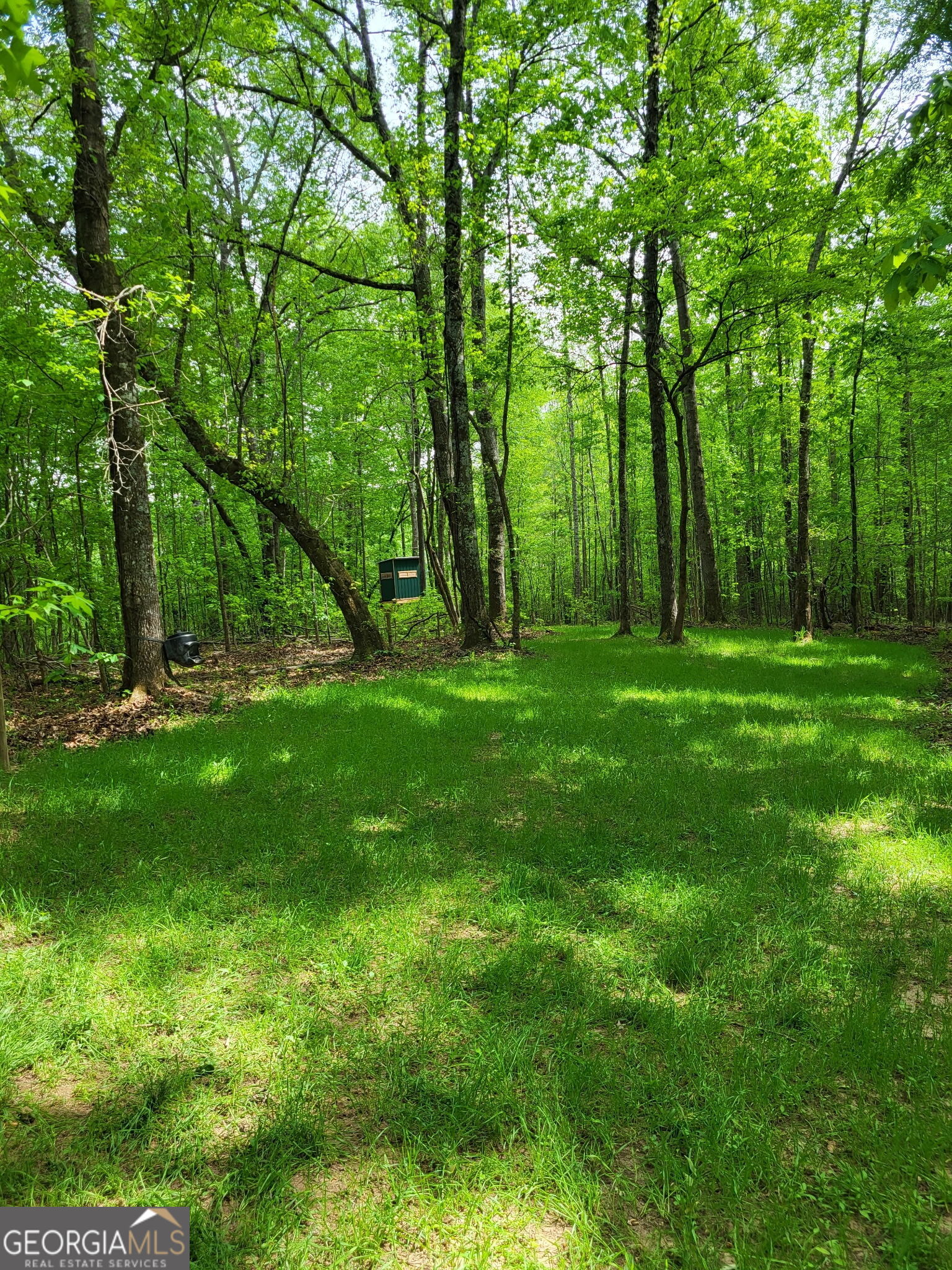 0 Court Ground Washington GA 30673