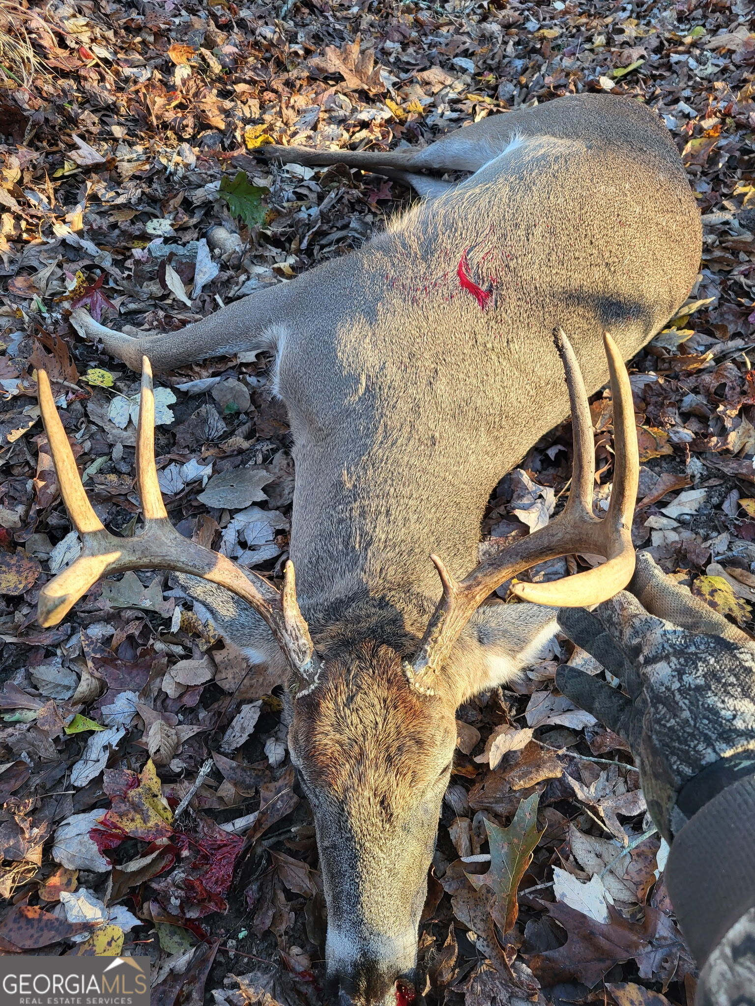 0 Court Ground Washington GA 30673