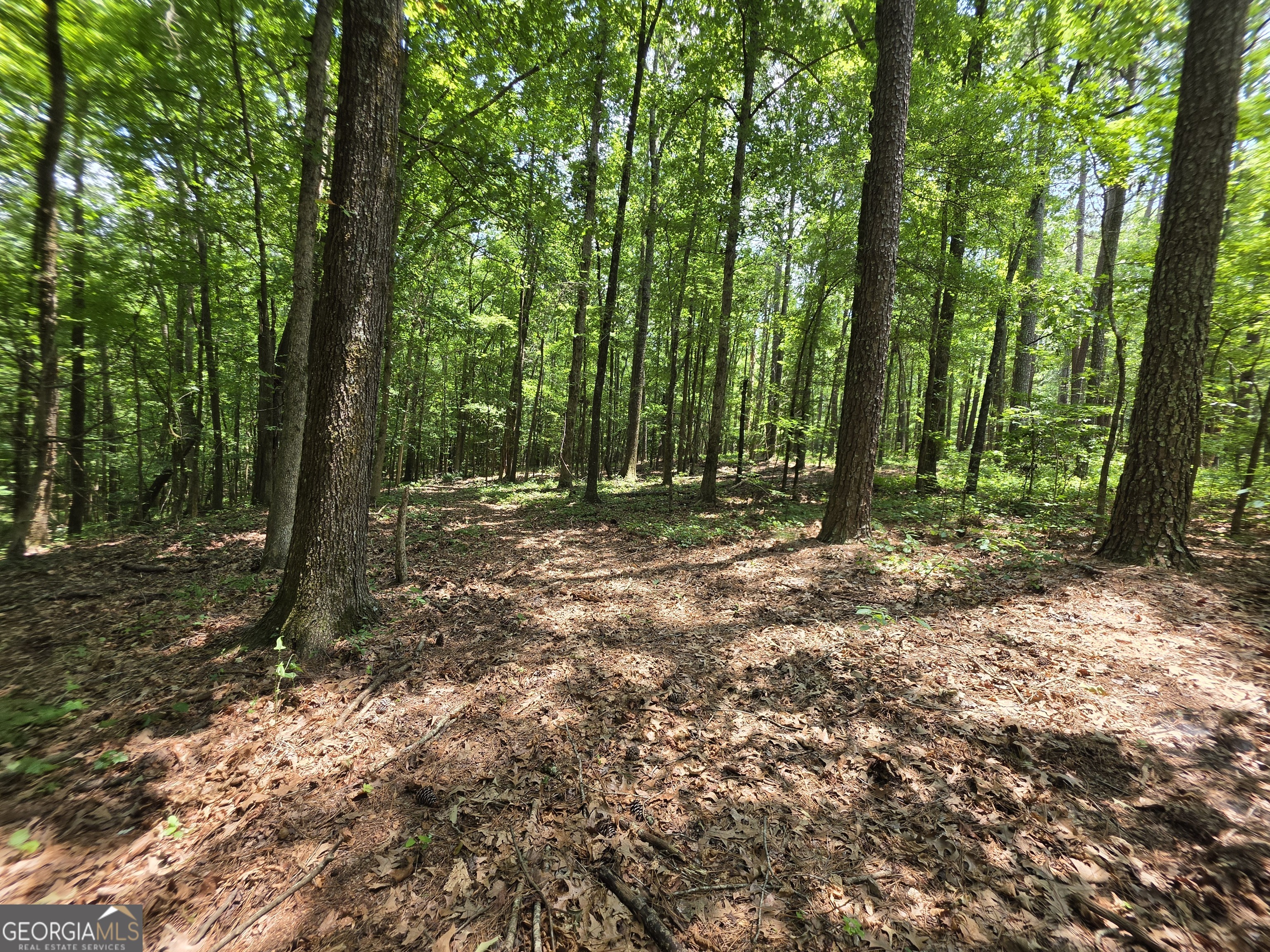 0 Court Ground Washington GA 30673