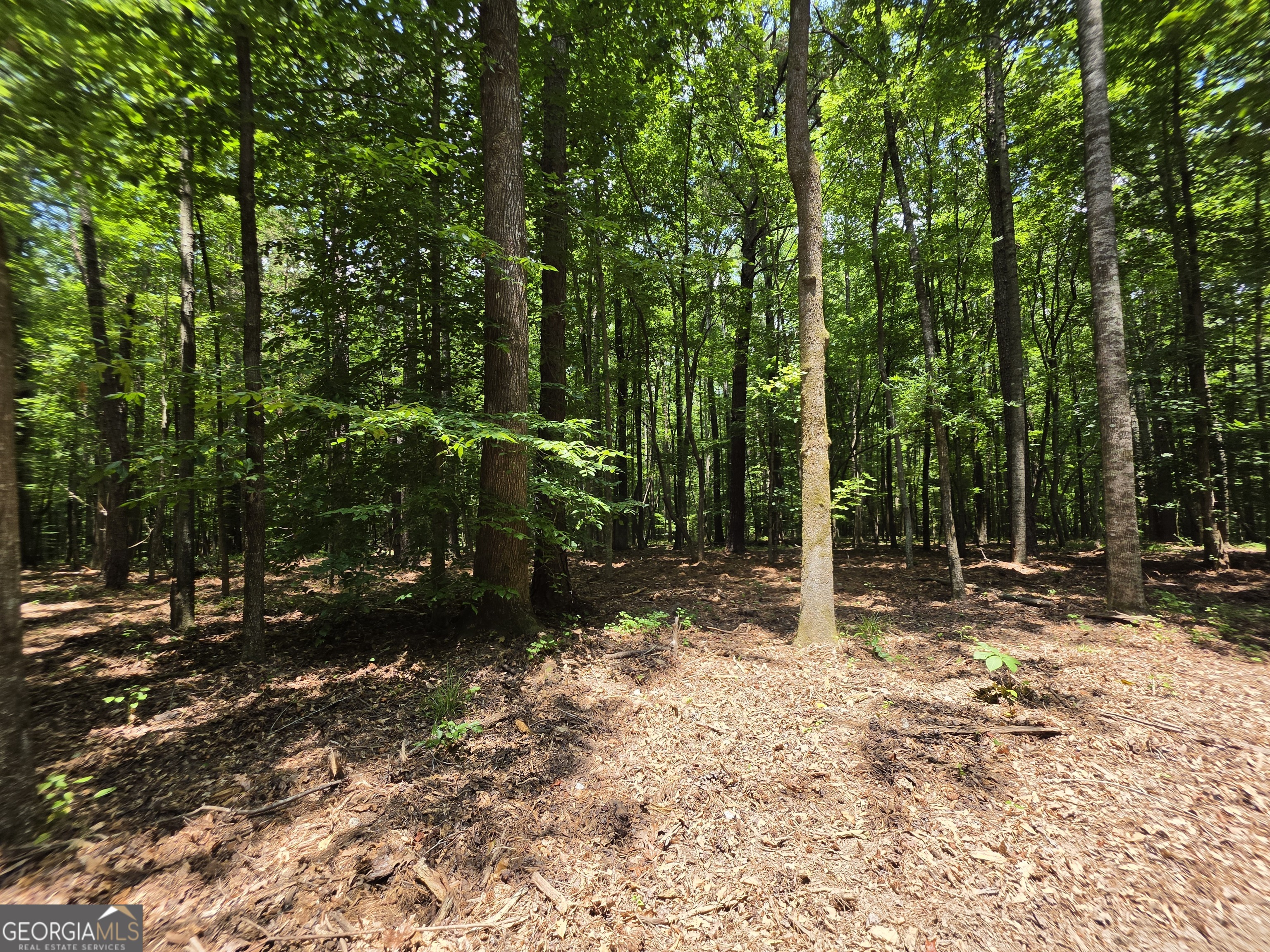 0 Court Ground Washington GA 30673