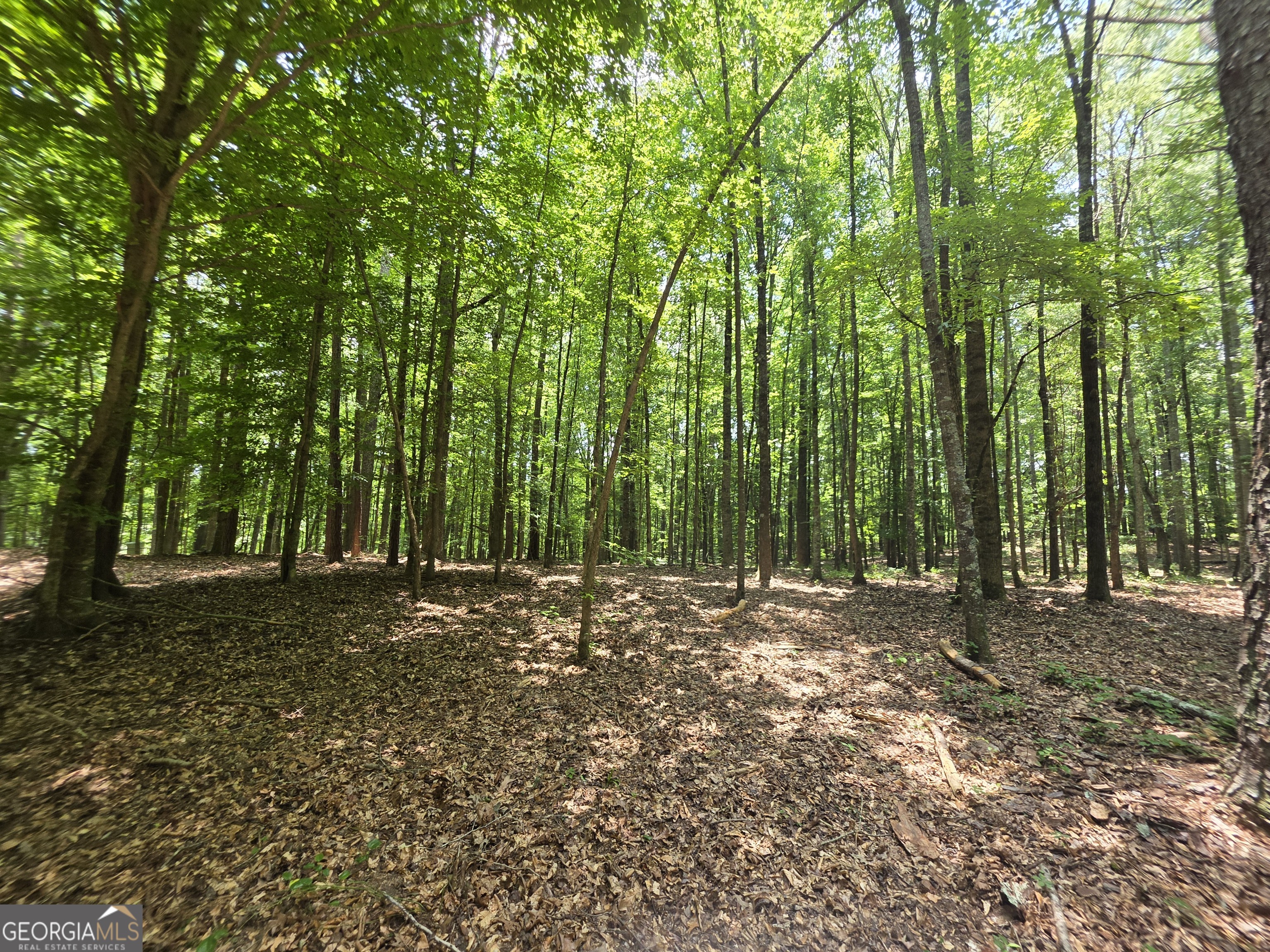 0 Court Ground Washington GA 30673