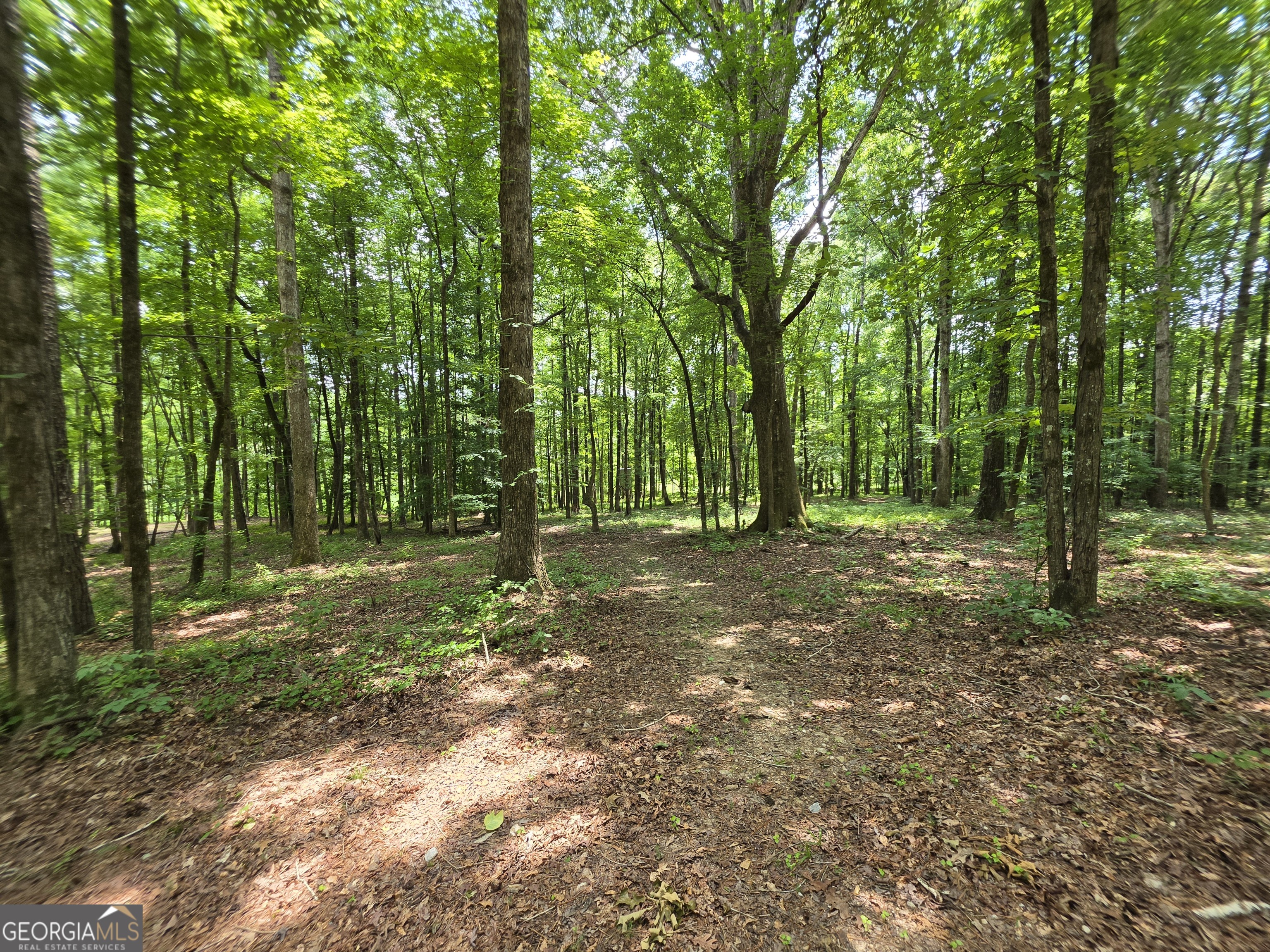 0 Court Ground Washington GA 30673