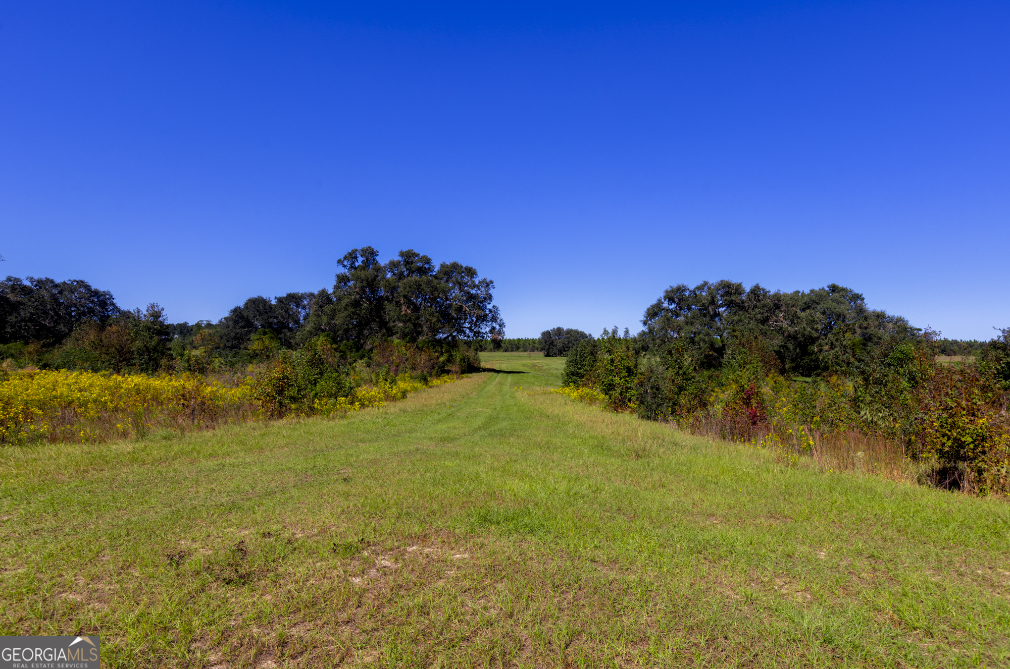 0 Ralph Keen Road East Dublin GA 31027