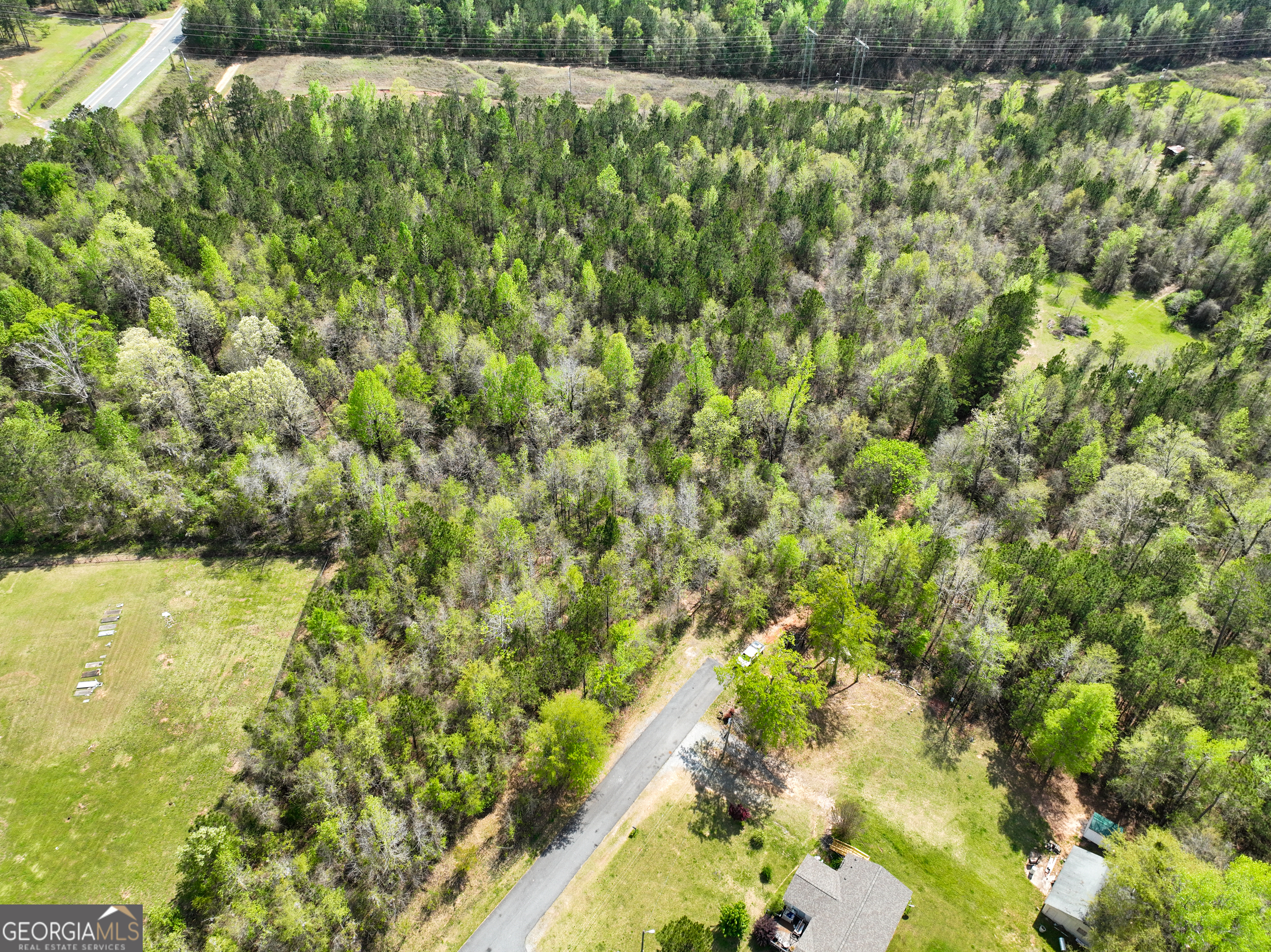 0 Highway 80 Dry Branch GA 31020