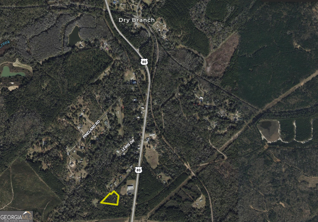 0 Highway 80 Dry Branch GA 31020