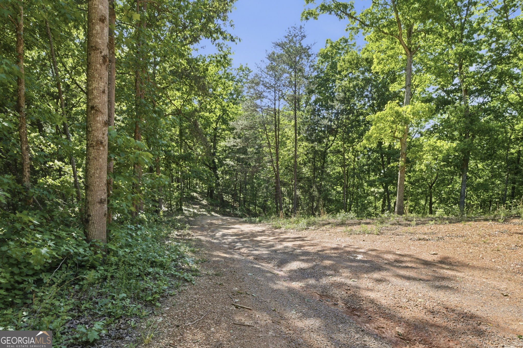 410 Pine Hill Road SE Rydal GA 30171