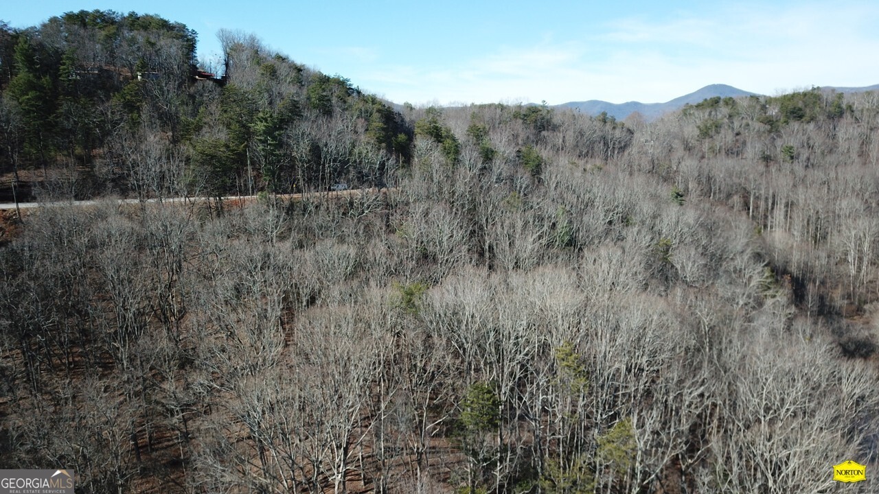218 Otter Way Dahlonega GA 30533