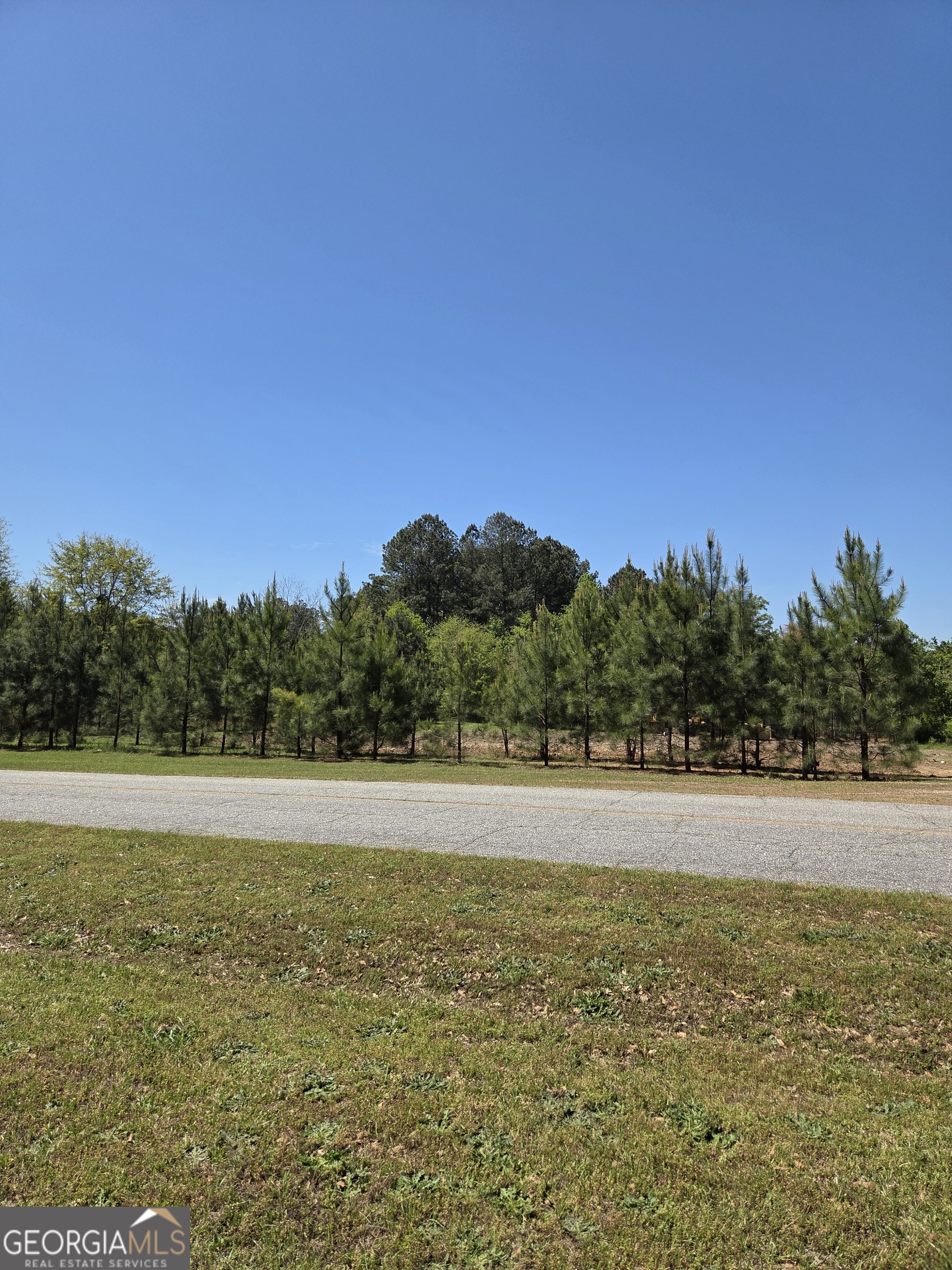 0 Mt Carmel Senoia GA 30276