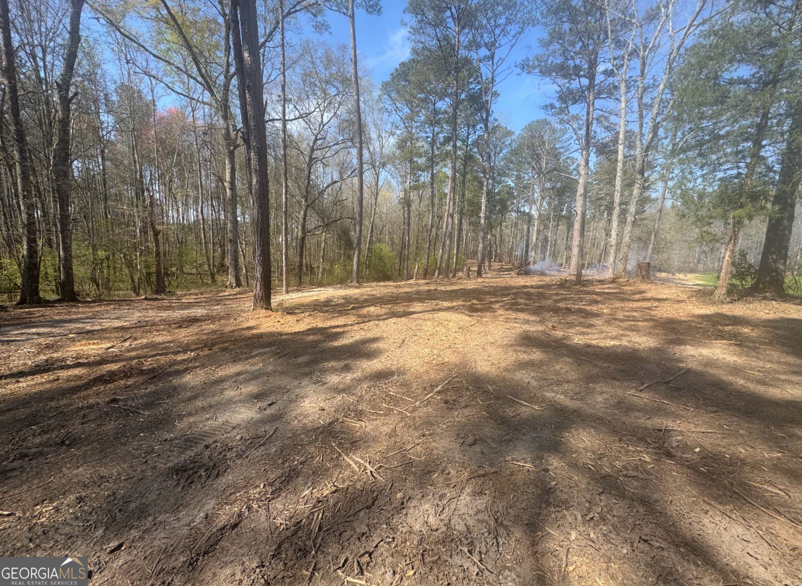 0 Mt Carmel Senoia GA 30276