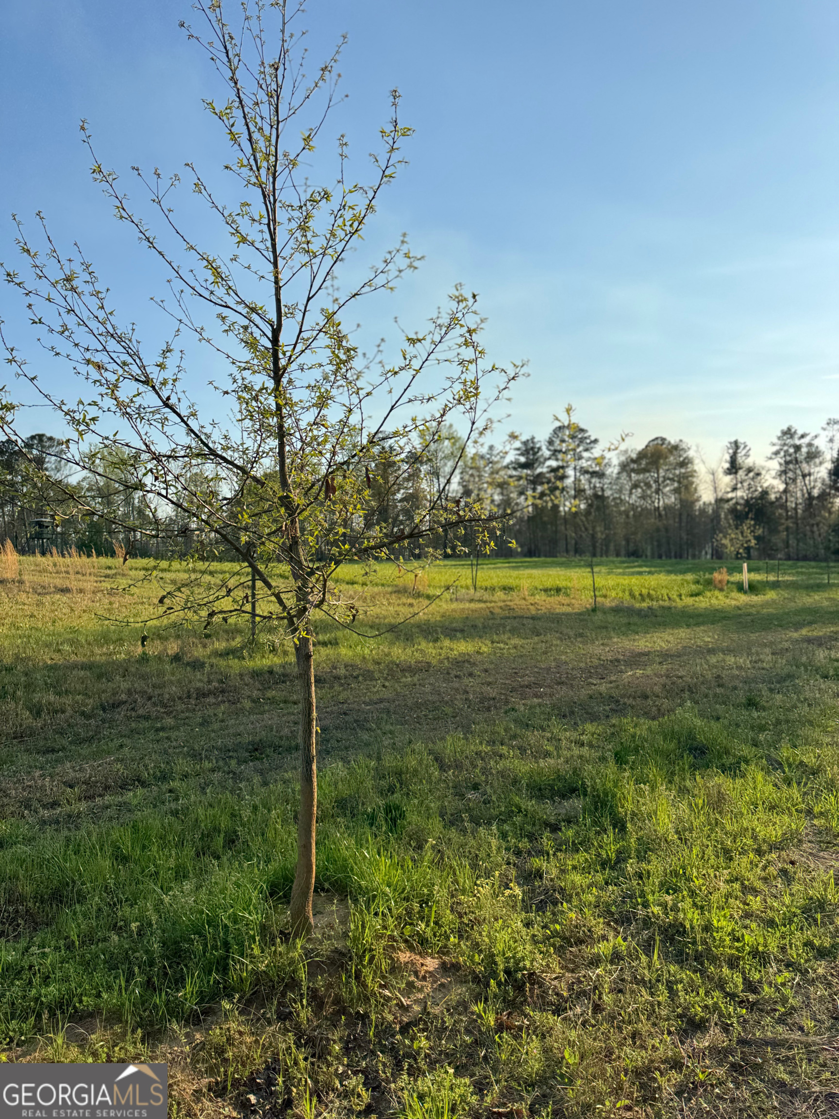 0 Mt Carmel Senoia GA 30276
